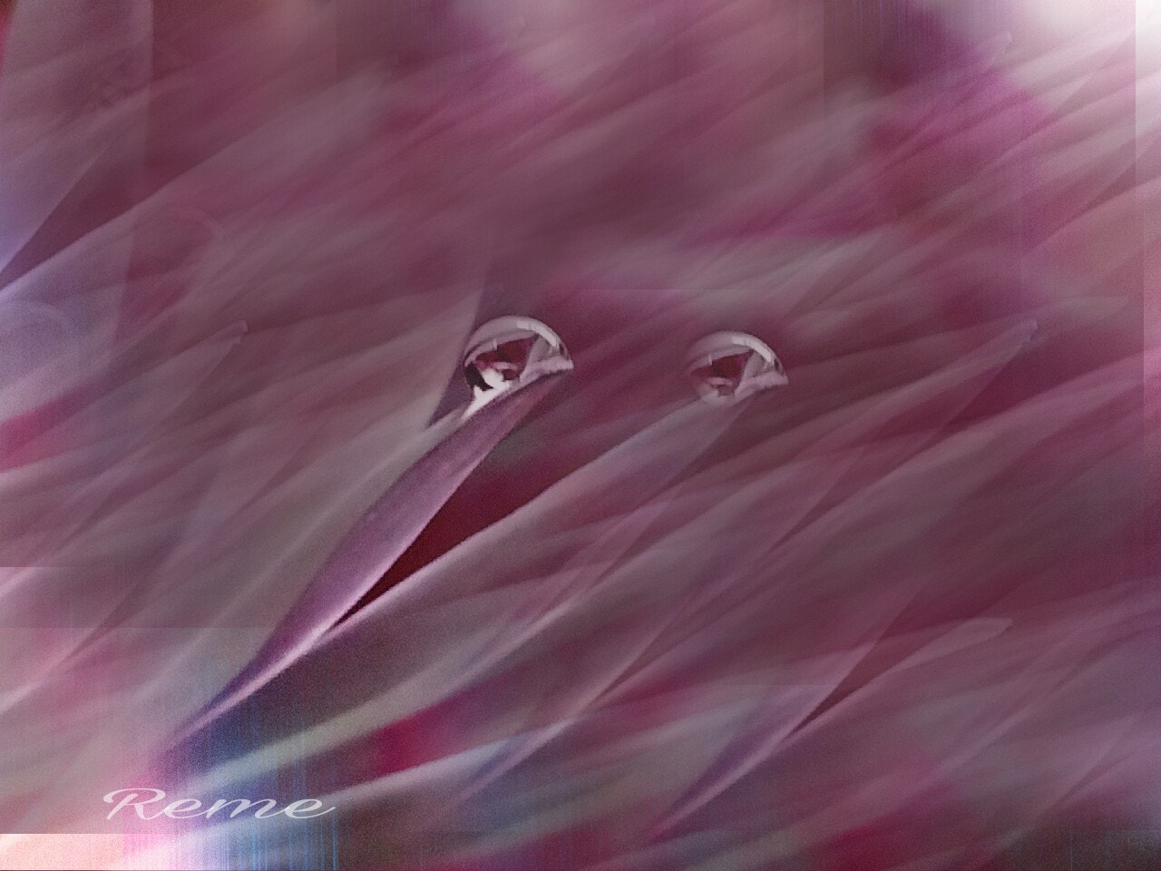 bq Aquaris E5 HD sample photo. Gotas photography