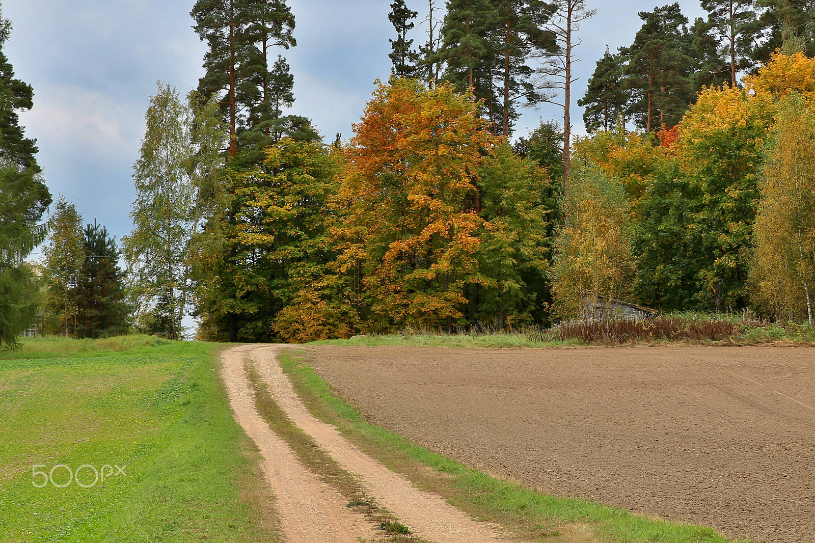 Canon EF 24-70mm F2.8L II USM sample photo. Path to autumn photography