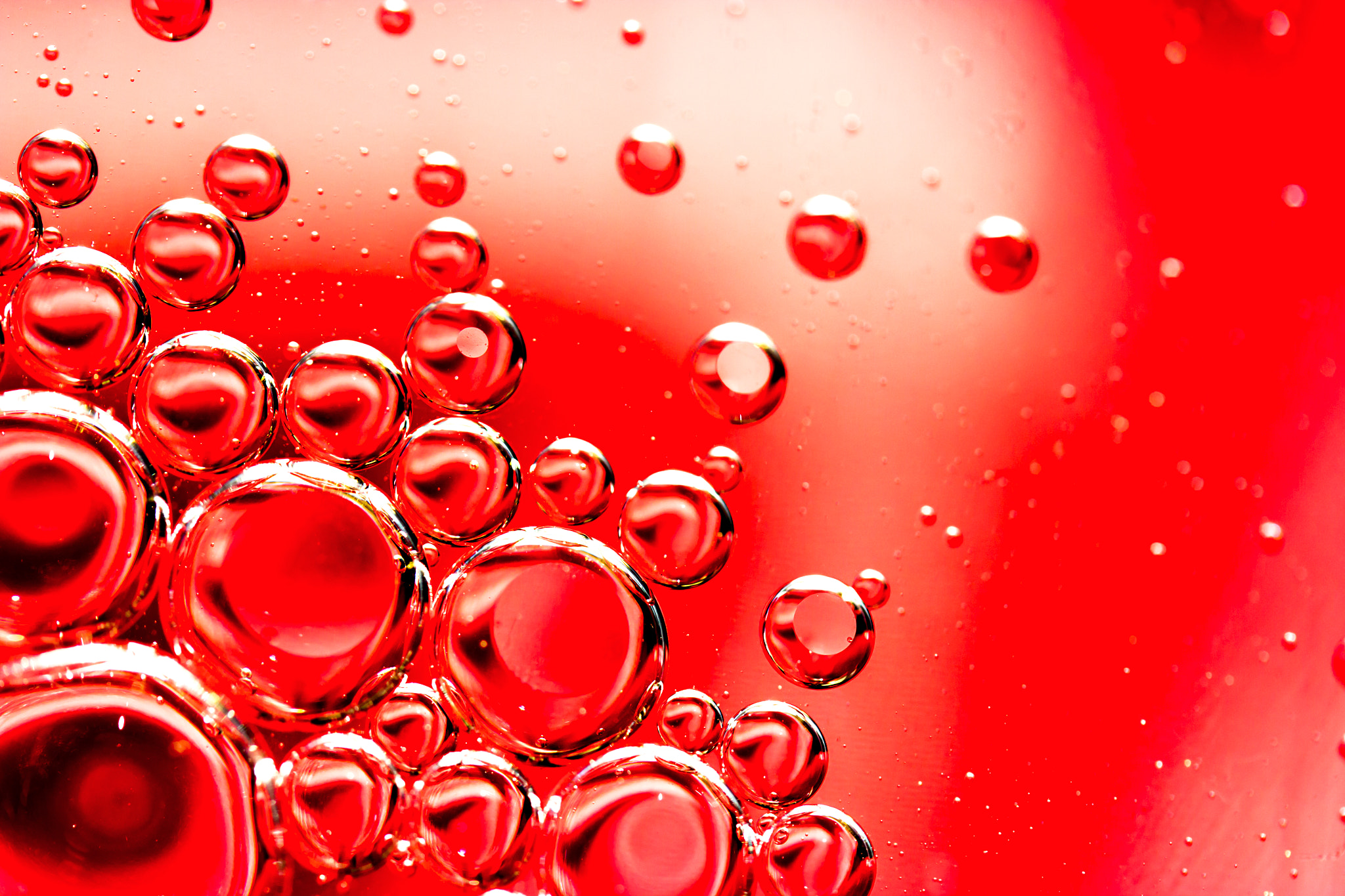 Canon EF-S 60mm F2.8 Macro USM sample photo. Abstract red looking oil and water bubbles photography