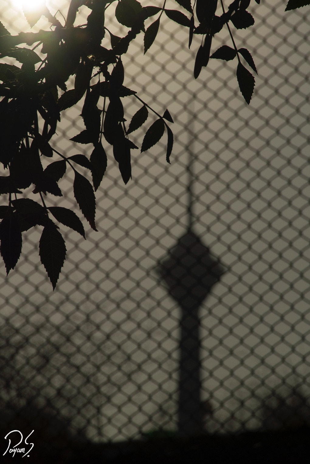 Nikon D200 sample photo. Milad tower photography