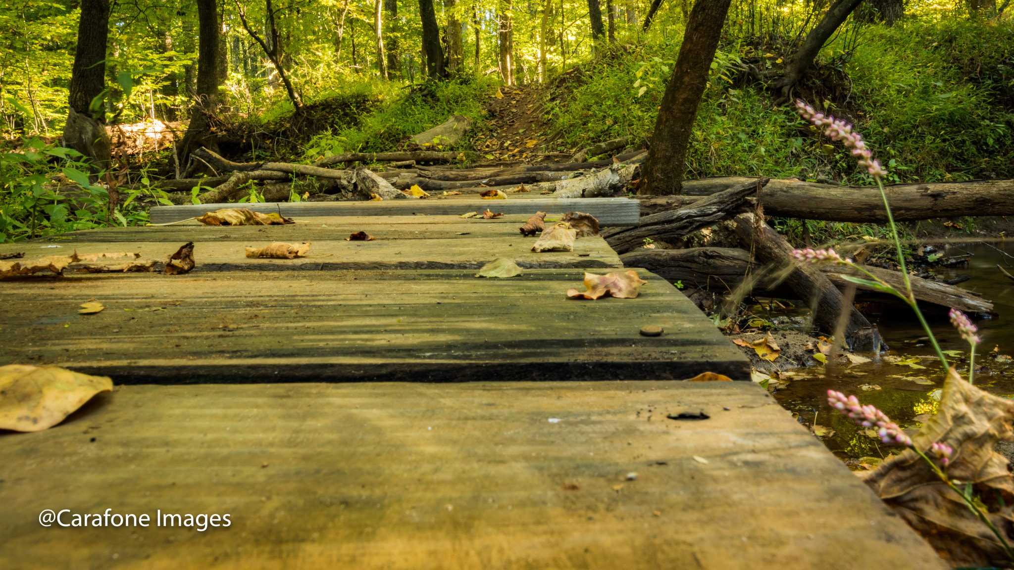 Canon EF 16-35mm F4L IS USM sample photo. Mtn bike trail bridge photography