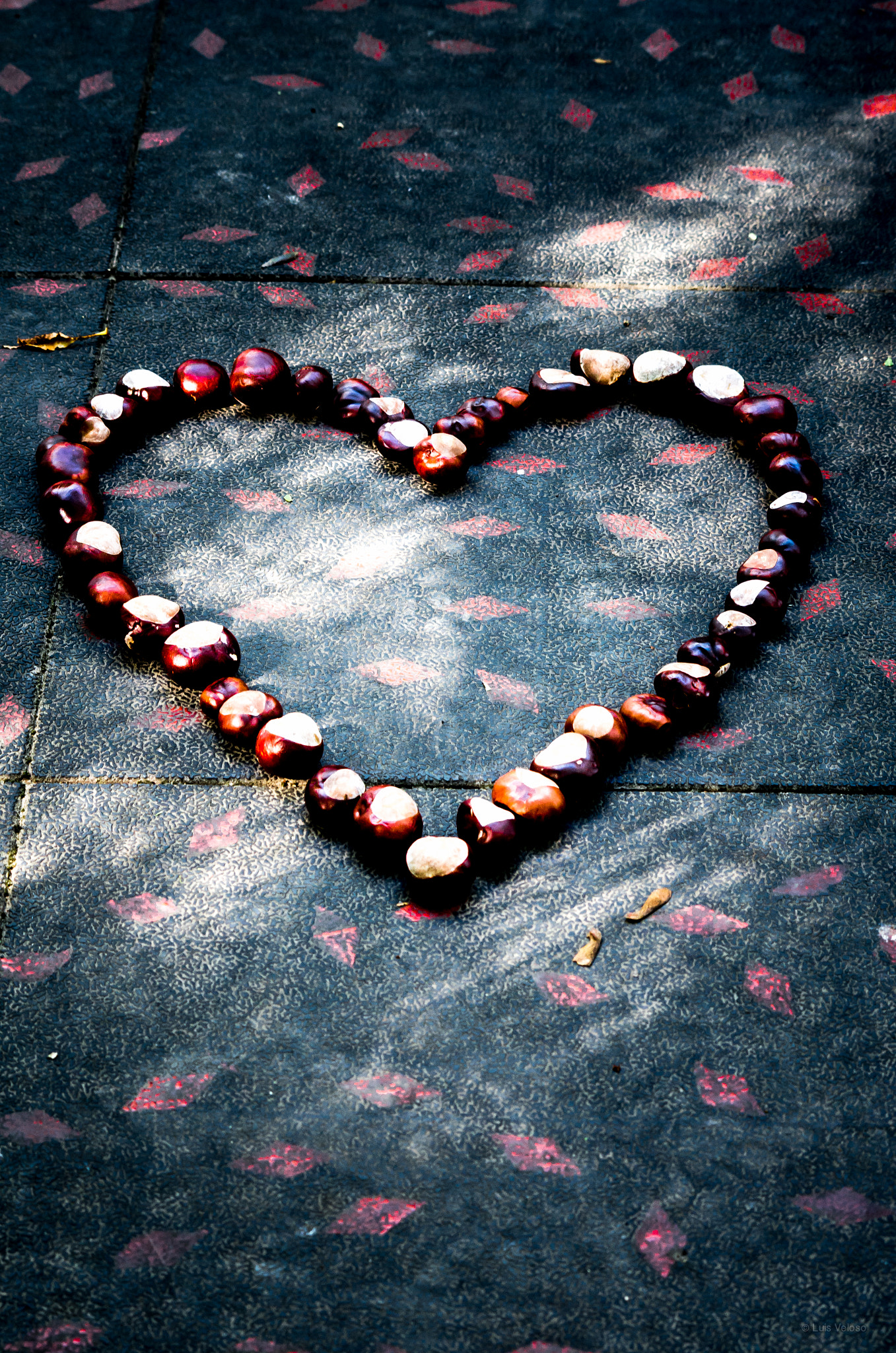 Pentax K-30 + Sigma sample photo. Autumn love photography