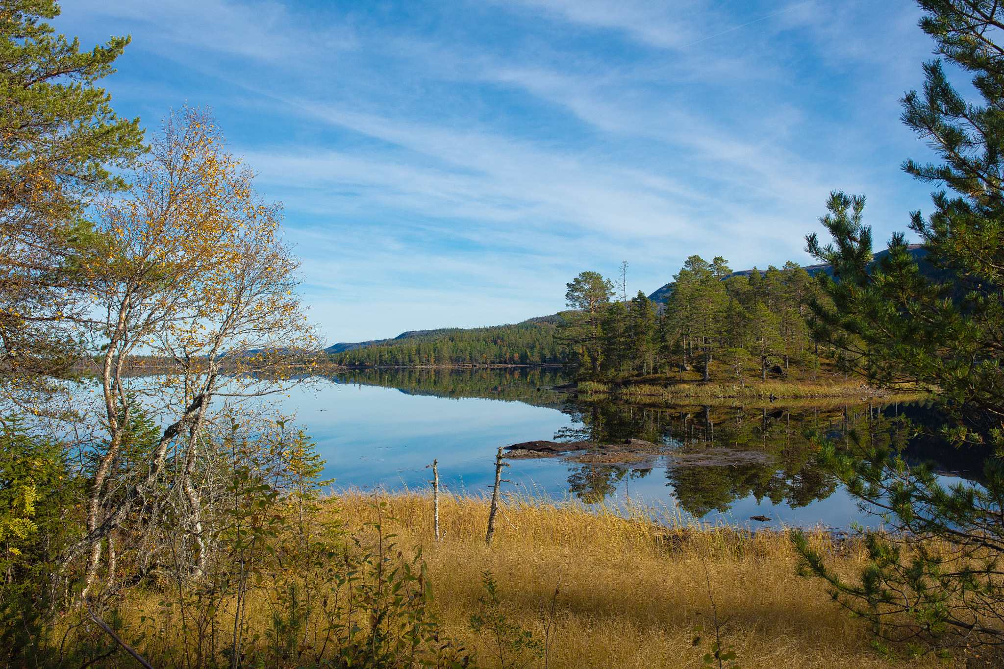 Sigma 35mm F1.4 DG HSM Art sample photo. Autumn glow by the lake photography