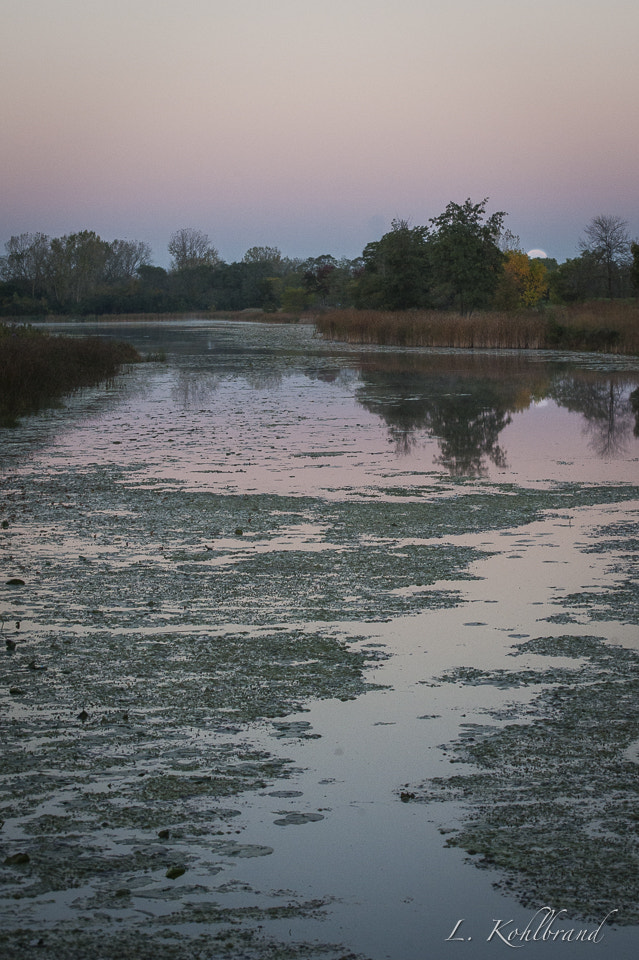Nikon D3 sample photo. Sunrise photography