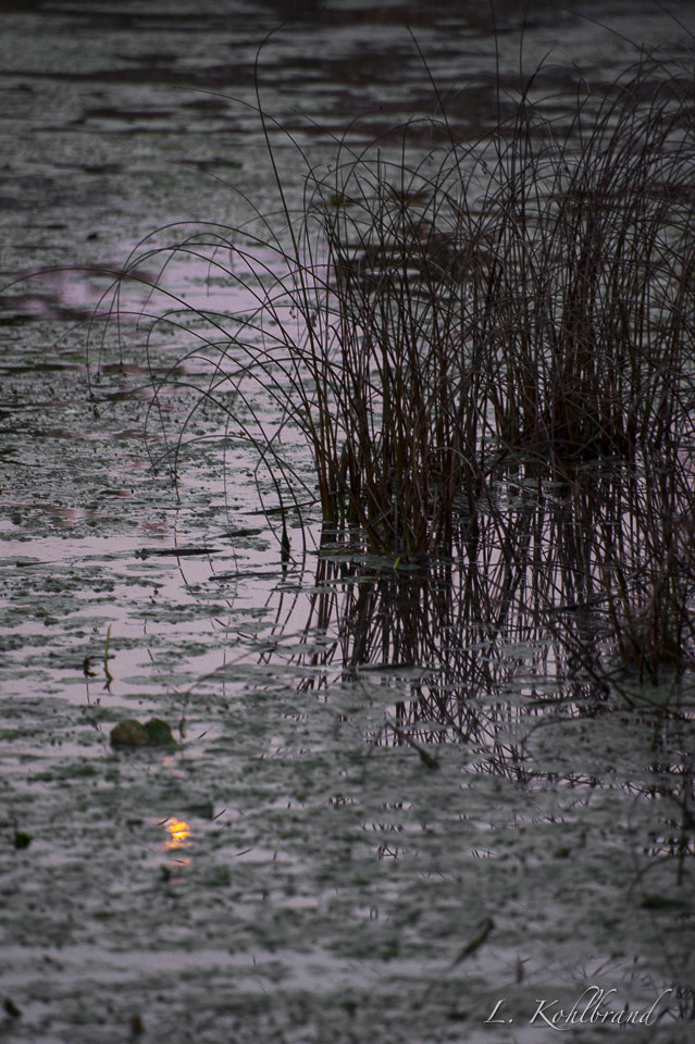 Nikon D3 sample photo. Sunrise photography