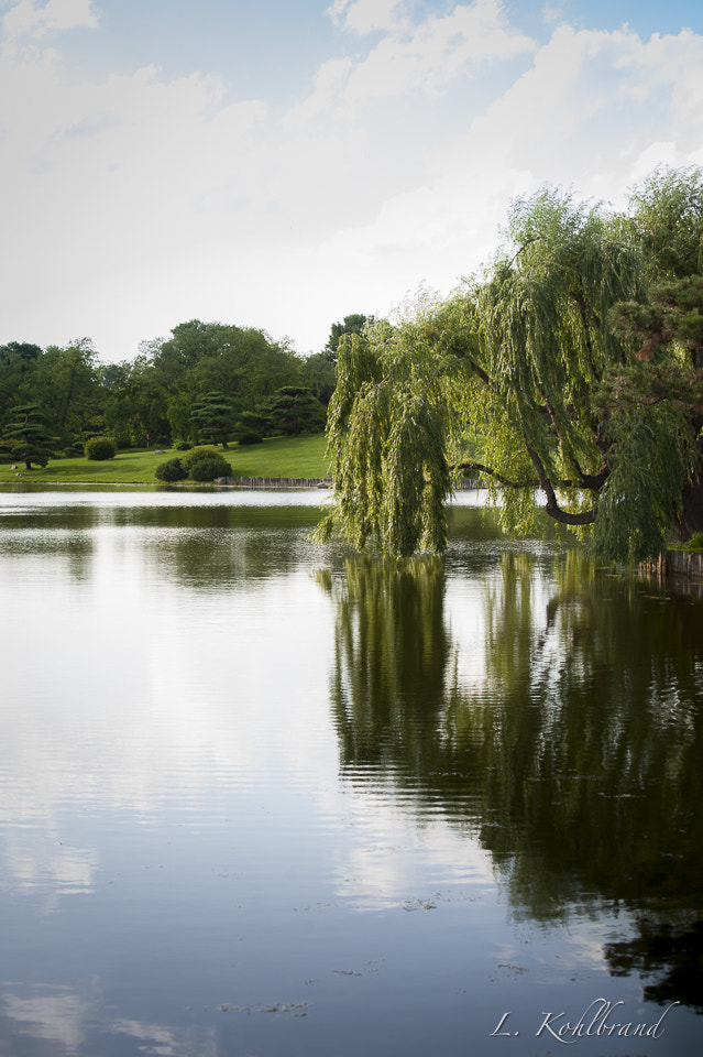 Nikon D3 sample photo. Willow tree reflections photography