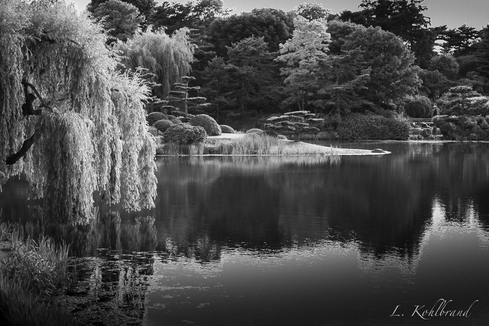 Nikon D3 sample photo. Botanical gardens photography