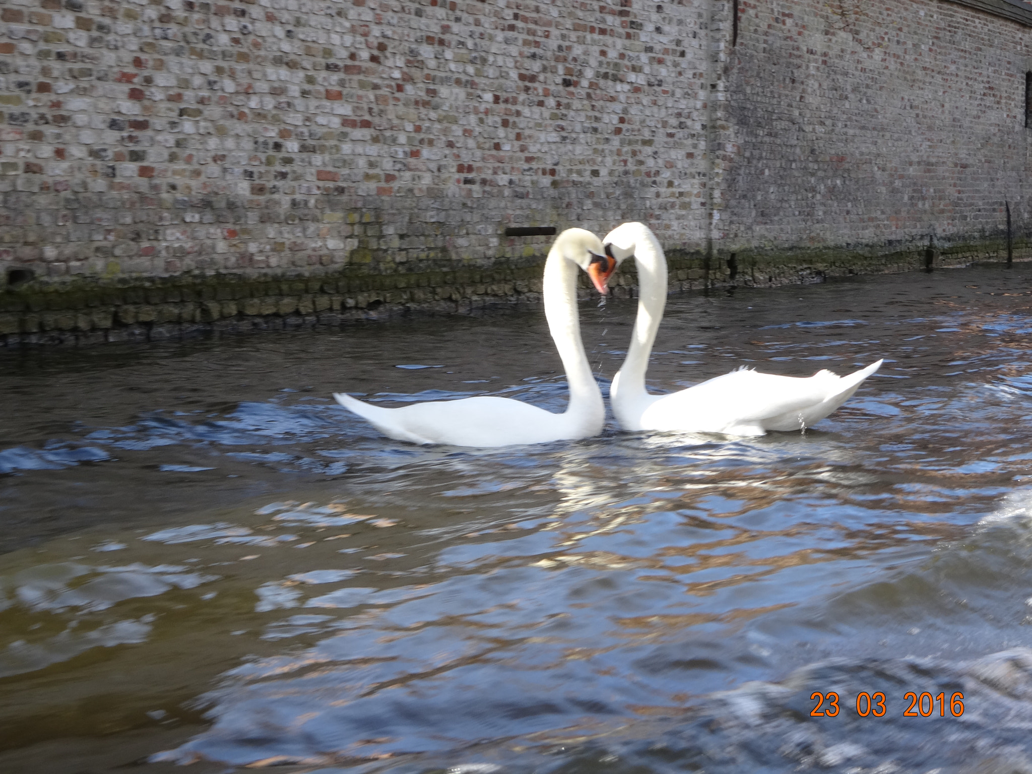 Sony Cyber-shot DSC-WX300 sample photo. Sharing a secret photography