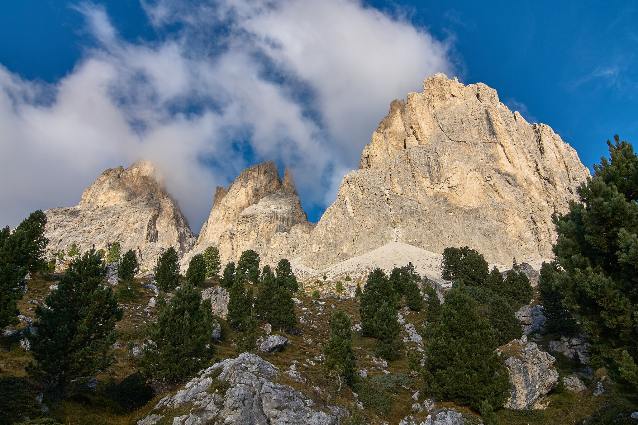Tokina AT-X Pro 12-24mm F4 (IF) DX sample photo. Saslonch photography