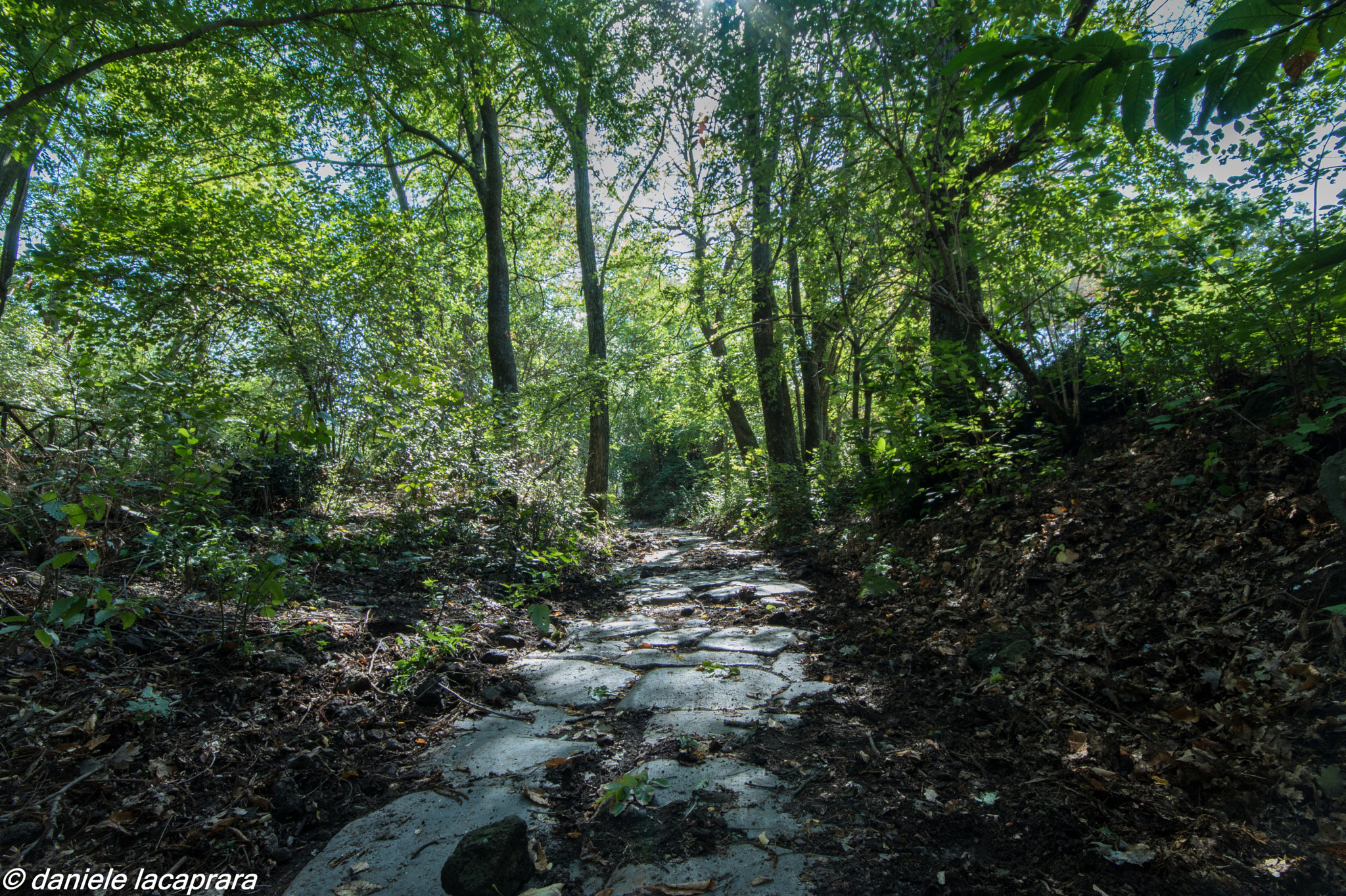 Canon EOS 760D (EOS Rebel T6s / EOS 8000D) + Sigma 10-20mm F4-5.6 EX DC HSM sample photo. Img photography