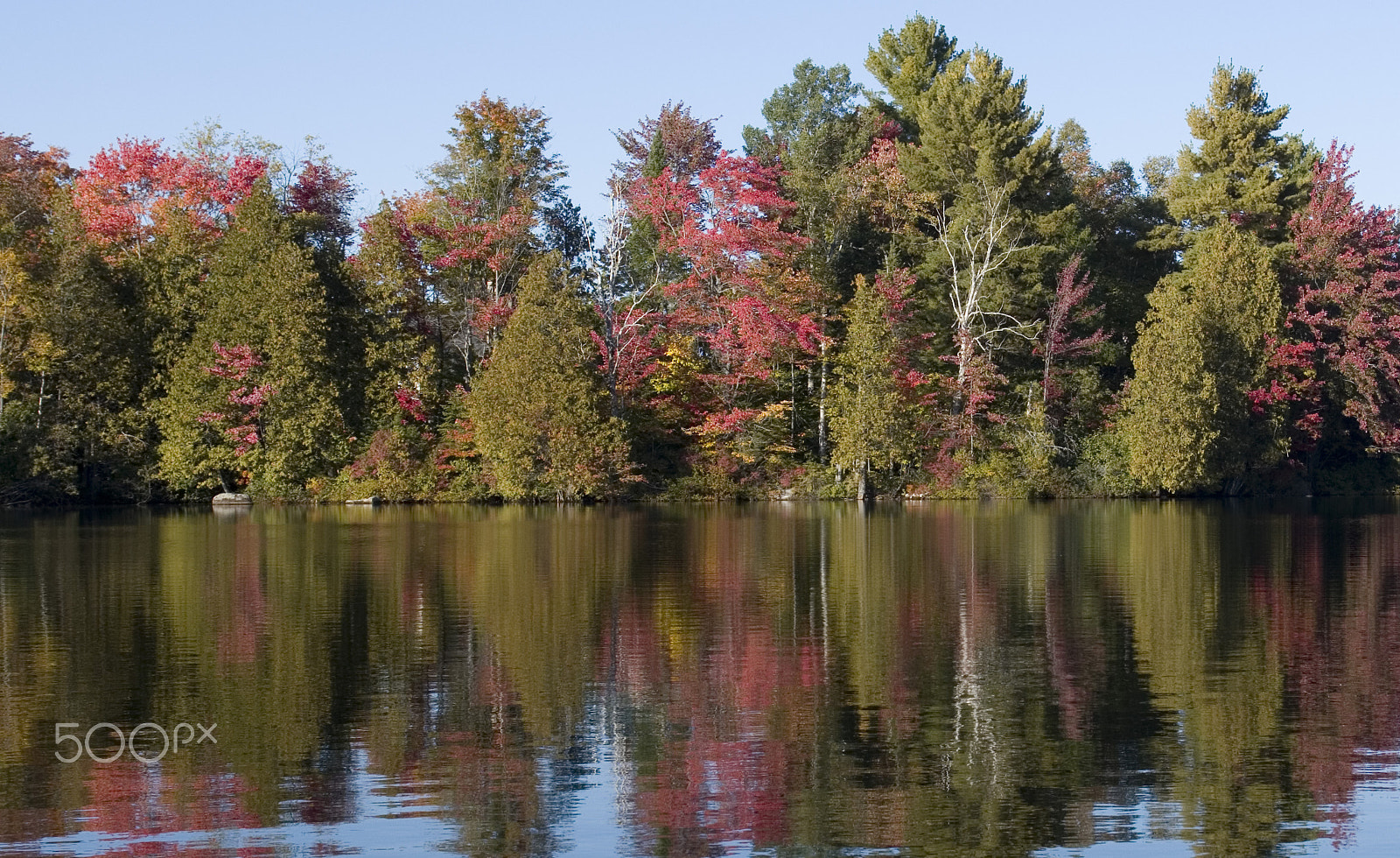 Nikon D500 sample photo. Autum reflection photography