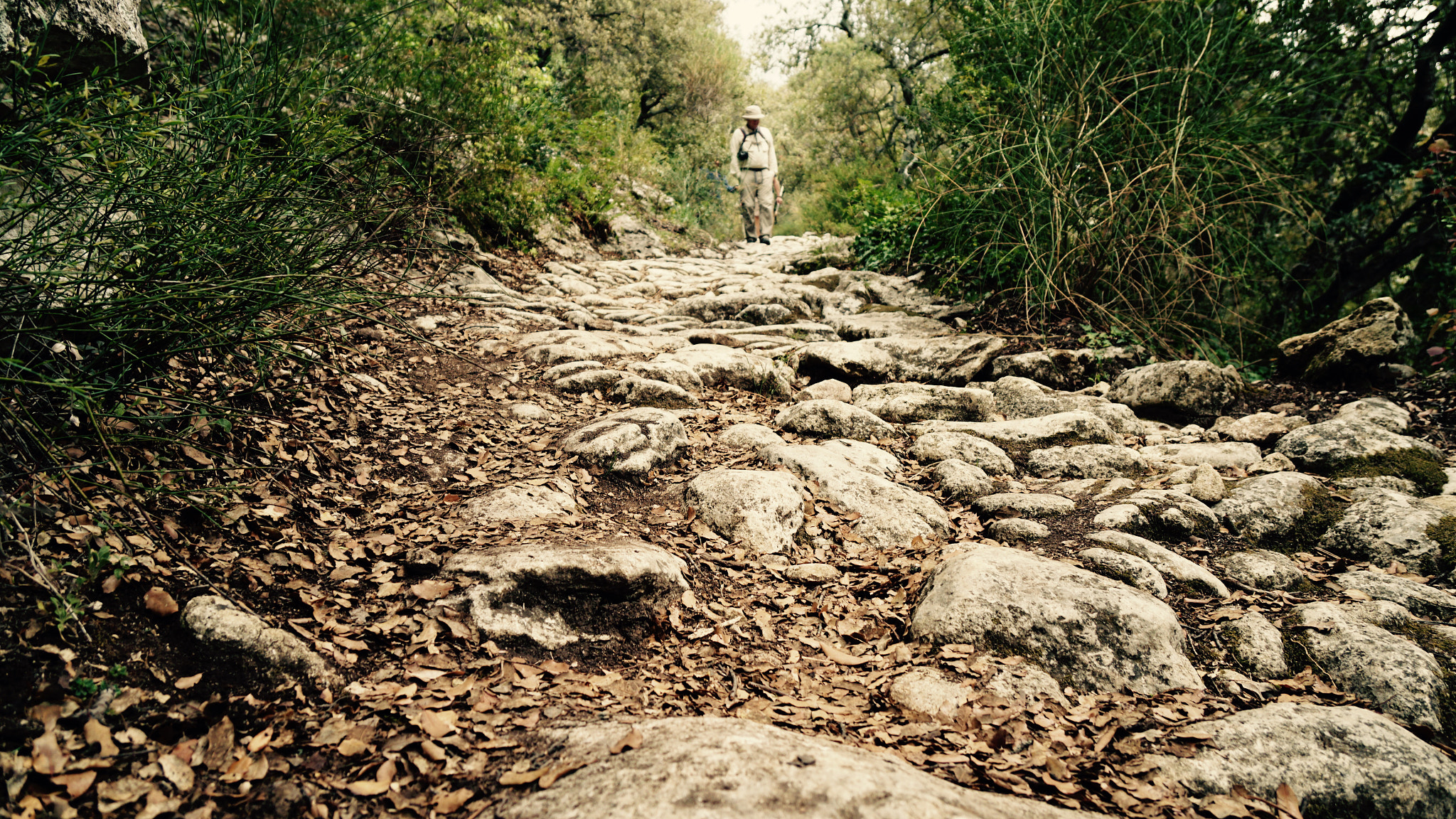 Sony Vario-Tessar T* E 16-70mm F4 ZA OSS sample photo. Hiking the trails at gordes, france photography
