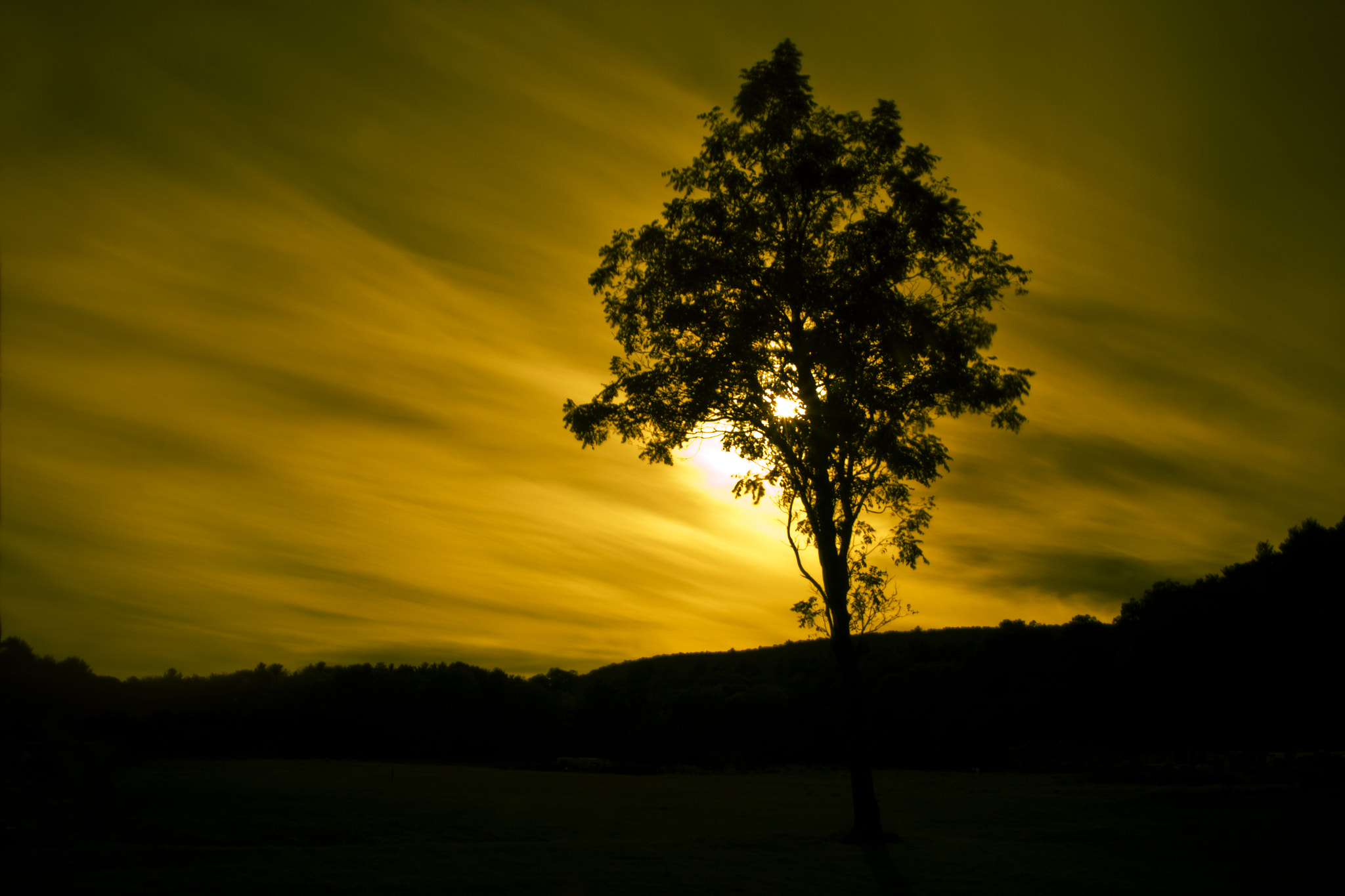 Sigma 18-200mm f/3.5-6.3 DC OS sample photo. Camping out! photography