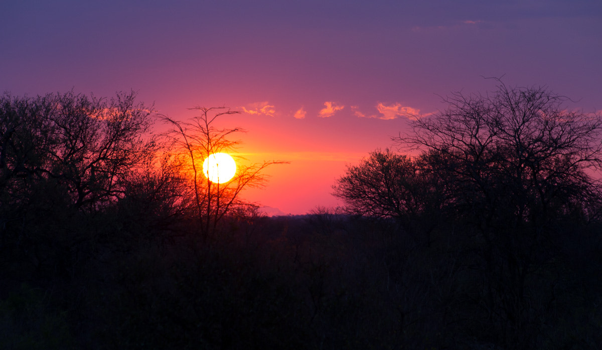 Sigma 70-300mm F4-5.6 APO DG Macro sample photo. Sunset in sudafrica photography