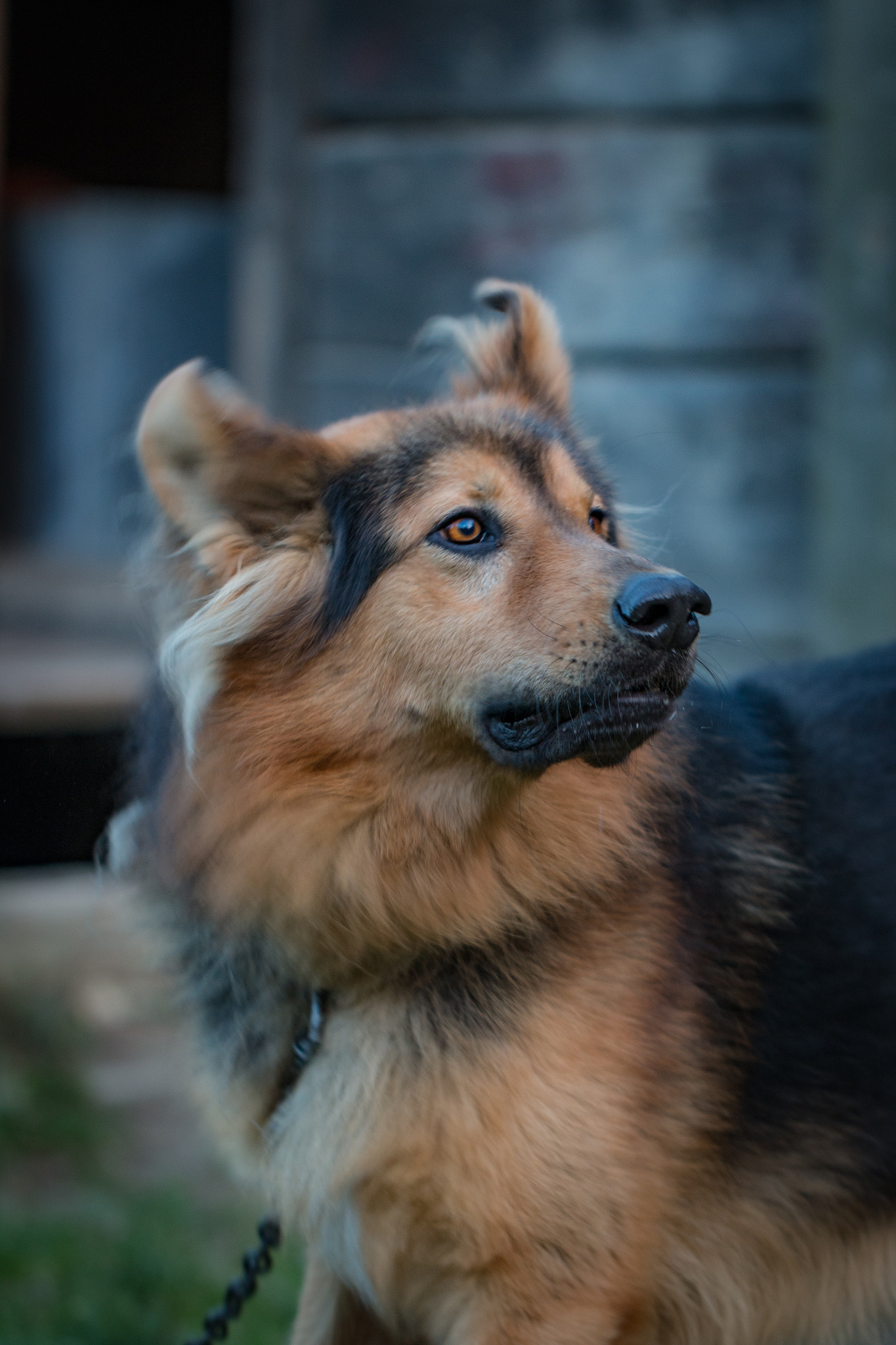 Canon EOS 70D + Canon EF 100mm F2.8L Macro IS USM sample photo. Bruno2 photography
