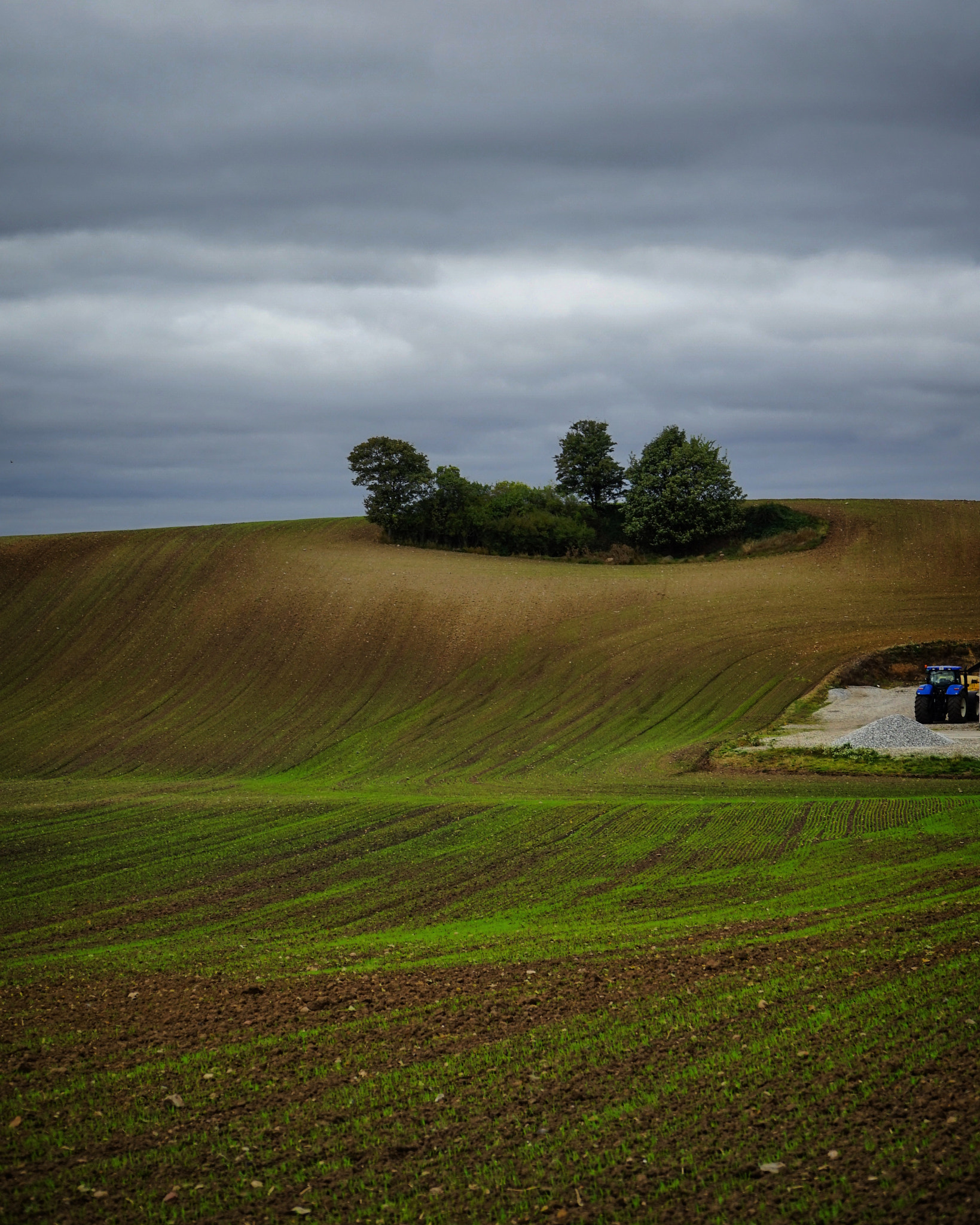Sony a7R + Sony E PZ 18-105mm F4 G OSS sample photo