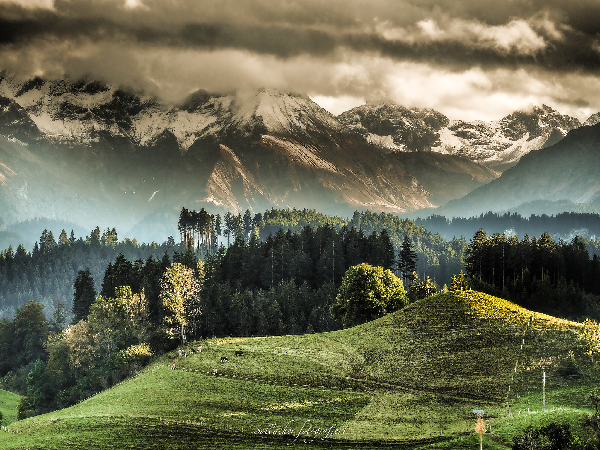 Olympus OM-D E-M5 II sample photo. Allgäuer alpen photography