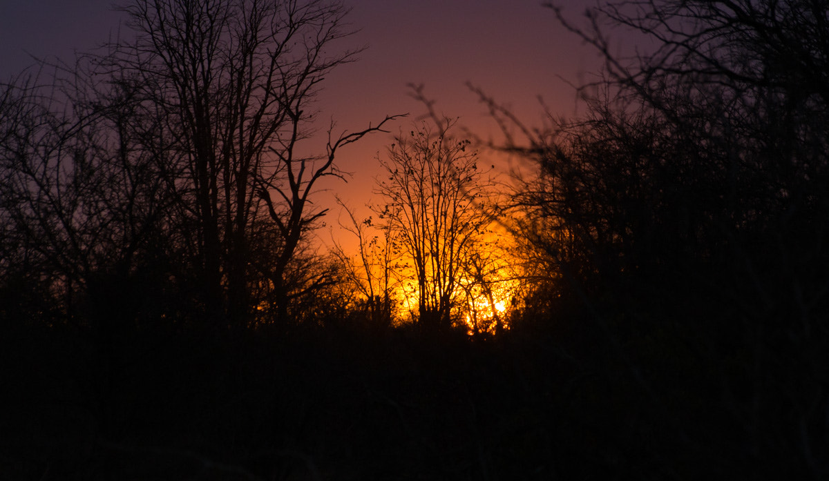 Sigma 70-300mm F4-5.6 APO DG Macro sample photo. Sunset photography