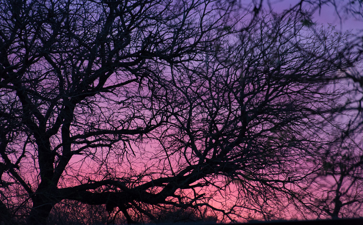 Sigma 70-300mm F4-5.6 APO DG Macro sample photo. Sunset in sudafrica photography
