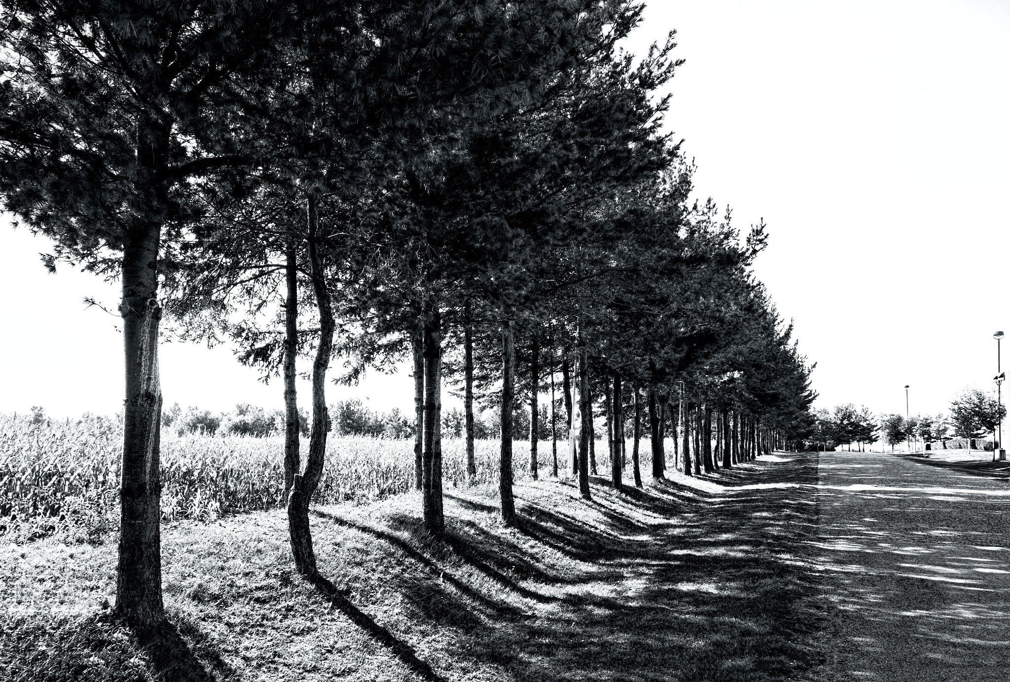 Fujifilm XC 16-50mm F3.5-5.6 OIS sample photo. Croatian church yard photography