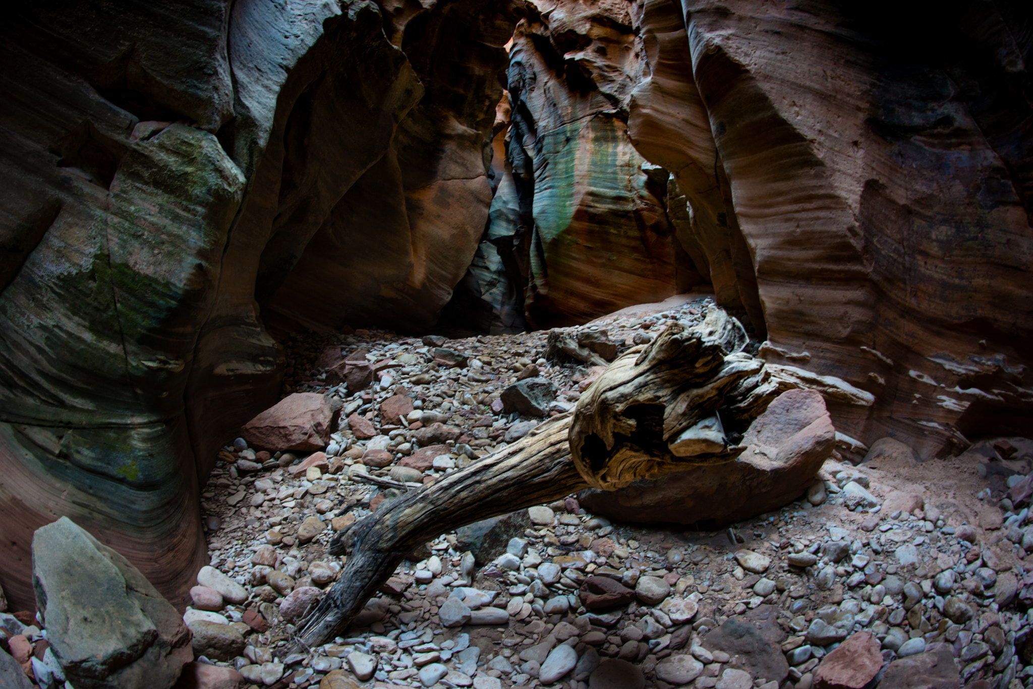 Nikon D800 + Nikon AF Fisheye-Nikkor 16mm F2.8D sample photo. Pine creek wash photography