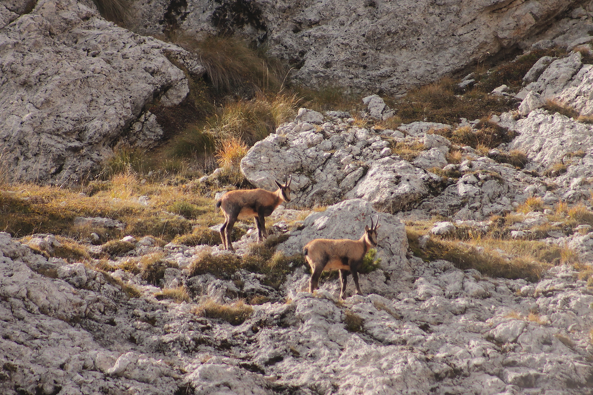 Canon EF75-300mm f/4-5.6 sample photo. Hiking photography