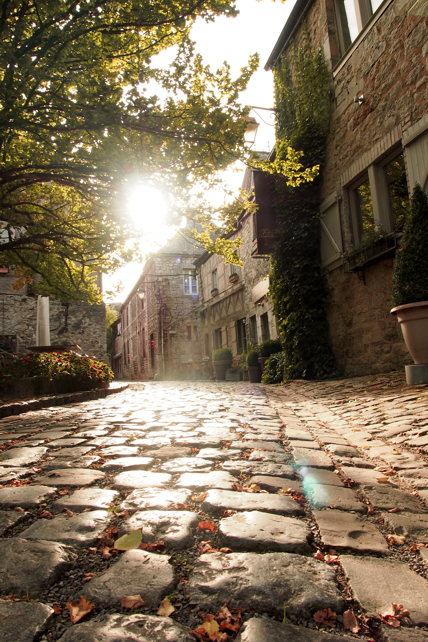 Olympus M.Zuiko Digital 14-42mm F3.5-5.6 II R sample photo. #autumnindurbuy photography