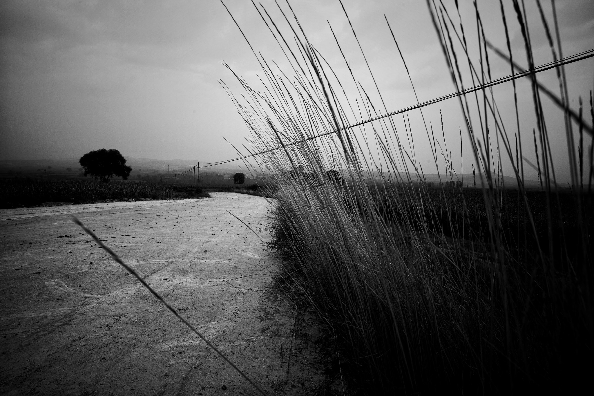 Canon EF 16-35mm F4L IS USM sample photo. 路 photography