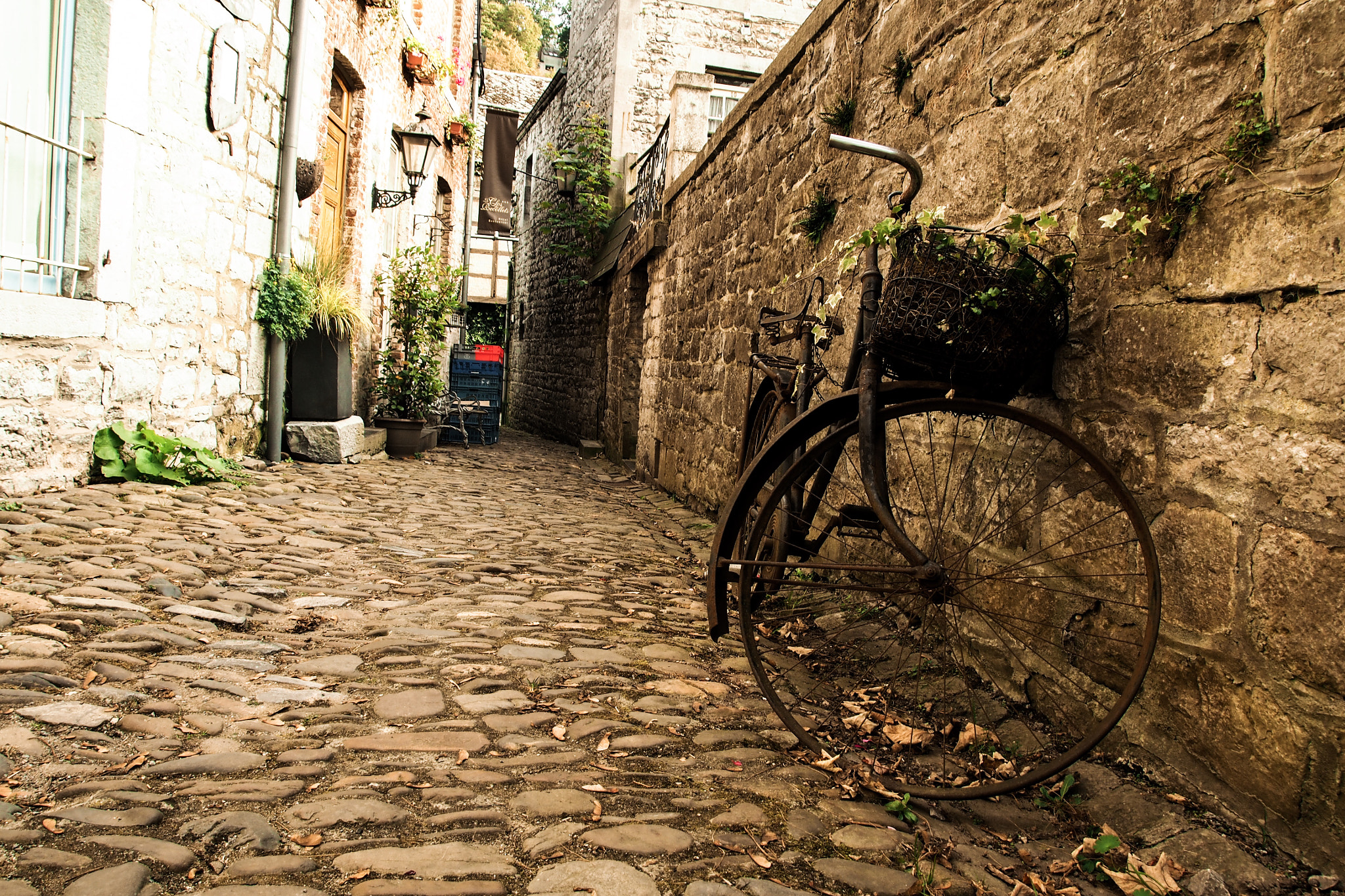 Olympus M.Zuiko Digital 14-42mm F3.5-5.6 II R sample photo. #lonelybicycle photography
