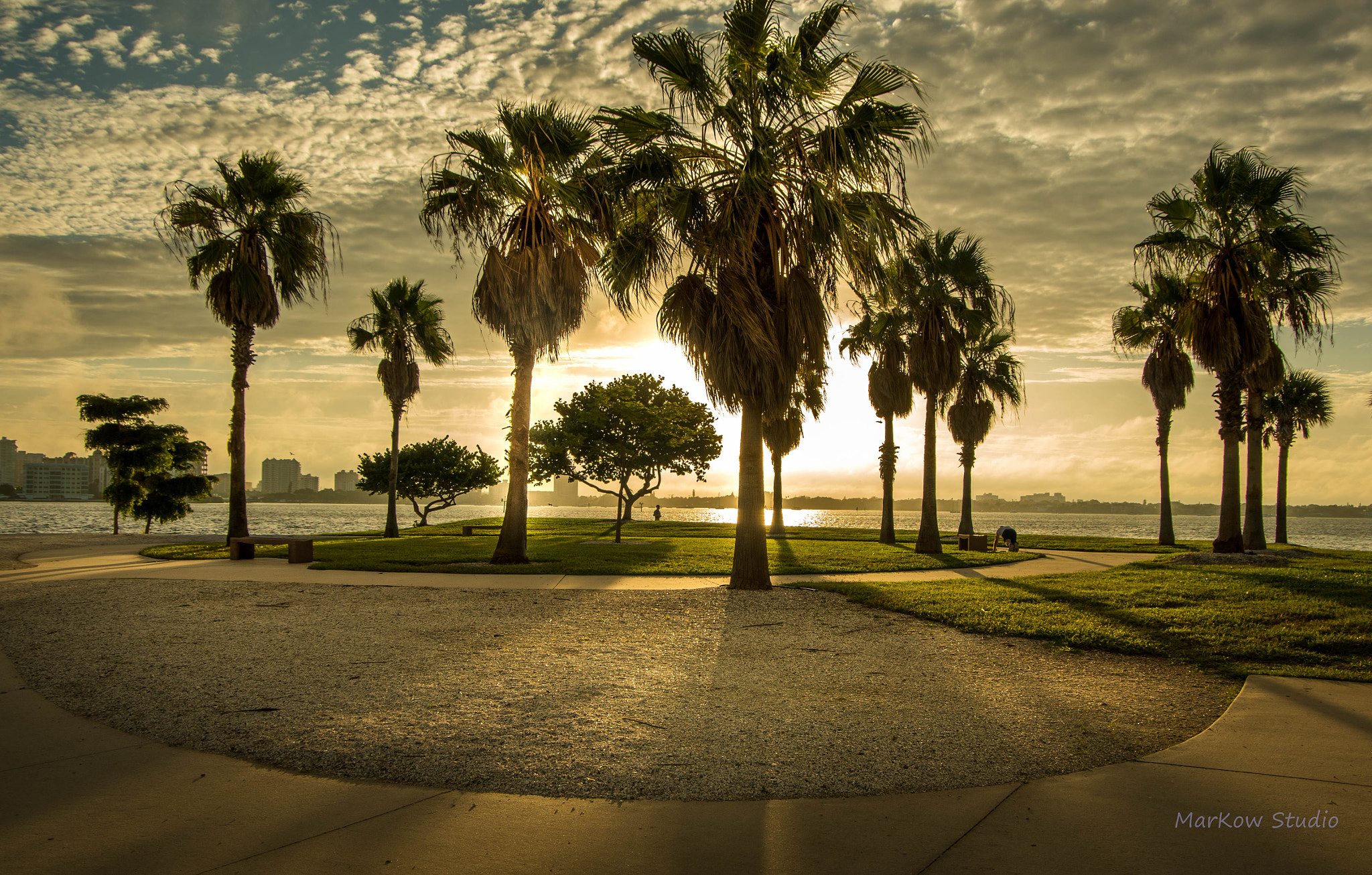 Pentax K-5 IIs sample photo. Palms photography