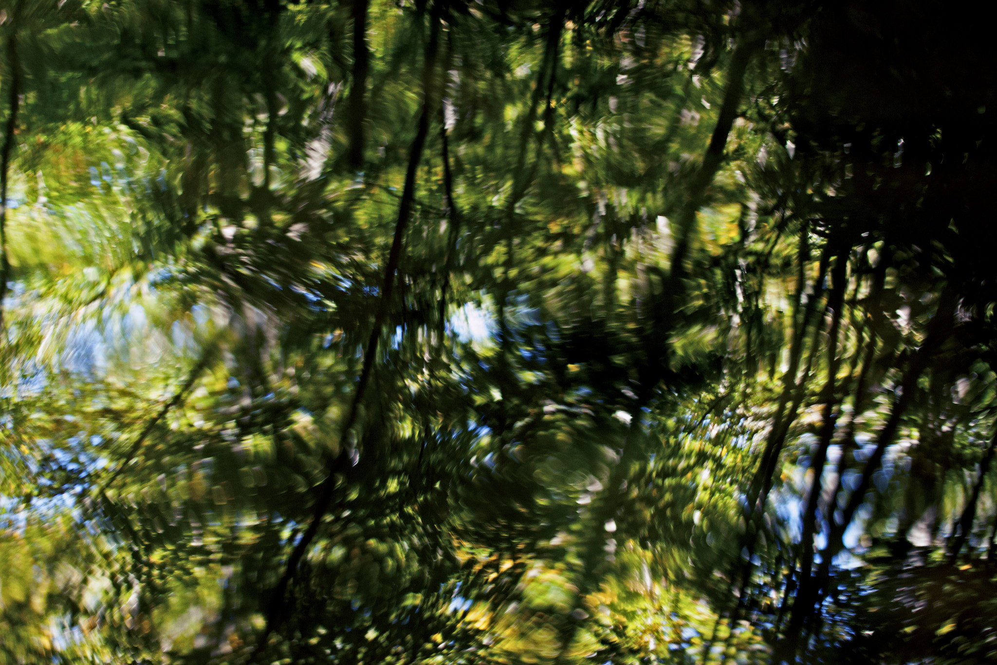 Canon EF 40mm F2.8 STM sample photo. Van gogh reflections photography
