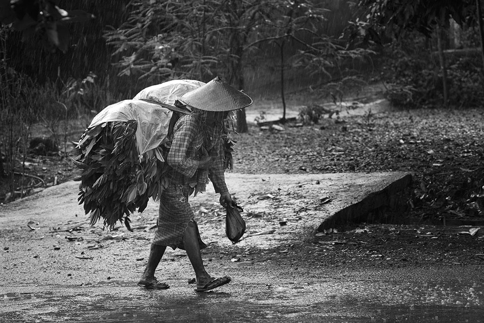 Nikon D70 sample photo. Under the rain photography