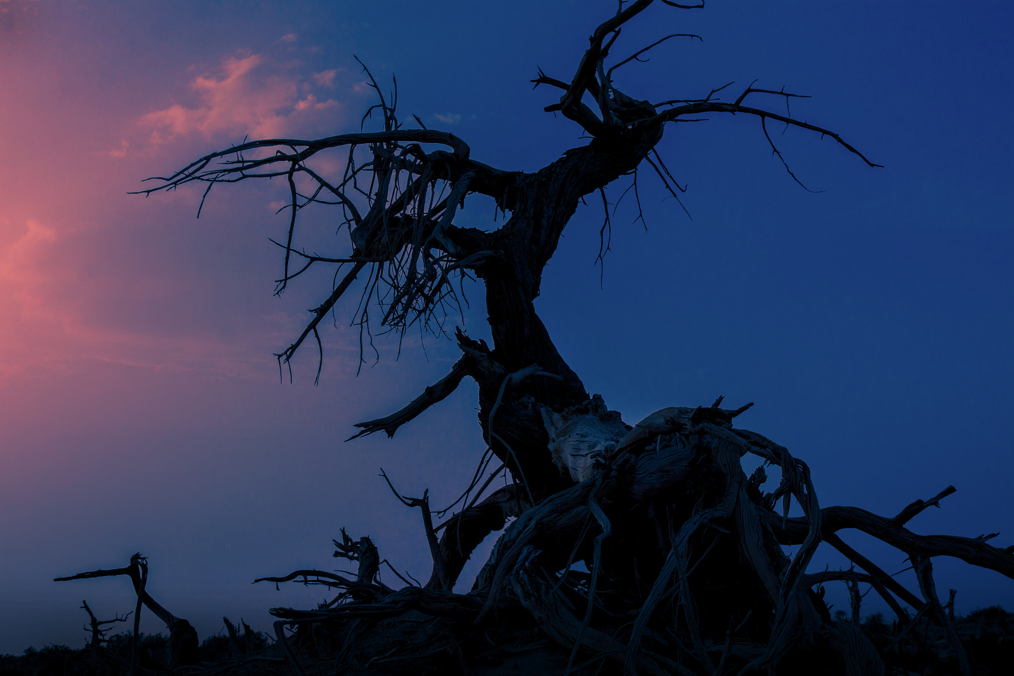 Canon EF 24-70mm F2.8L II USM sample photo. 风光 photography