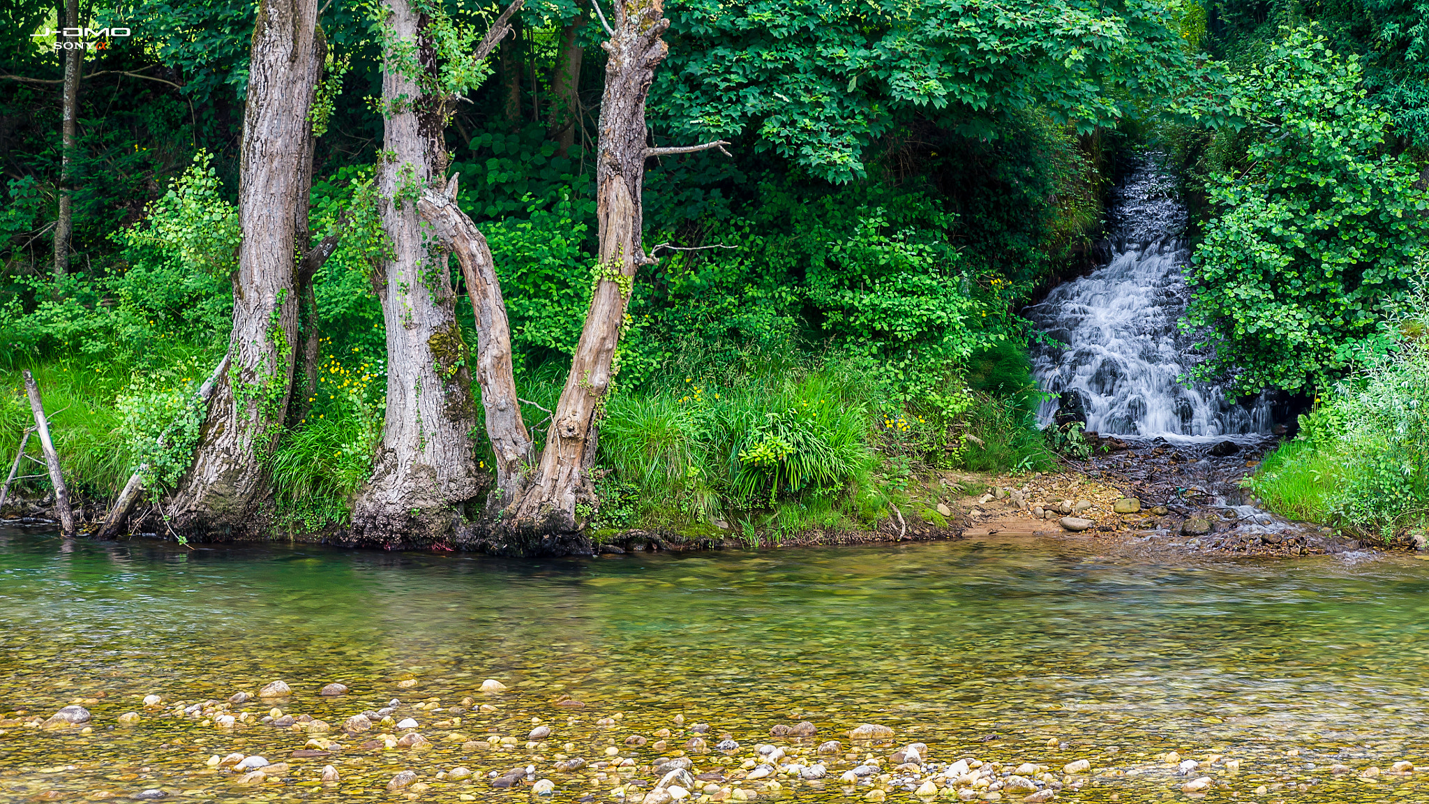 Sony SLT-A33 sample photo. Río sella, cangas de onis  photography