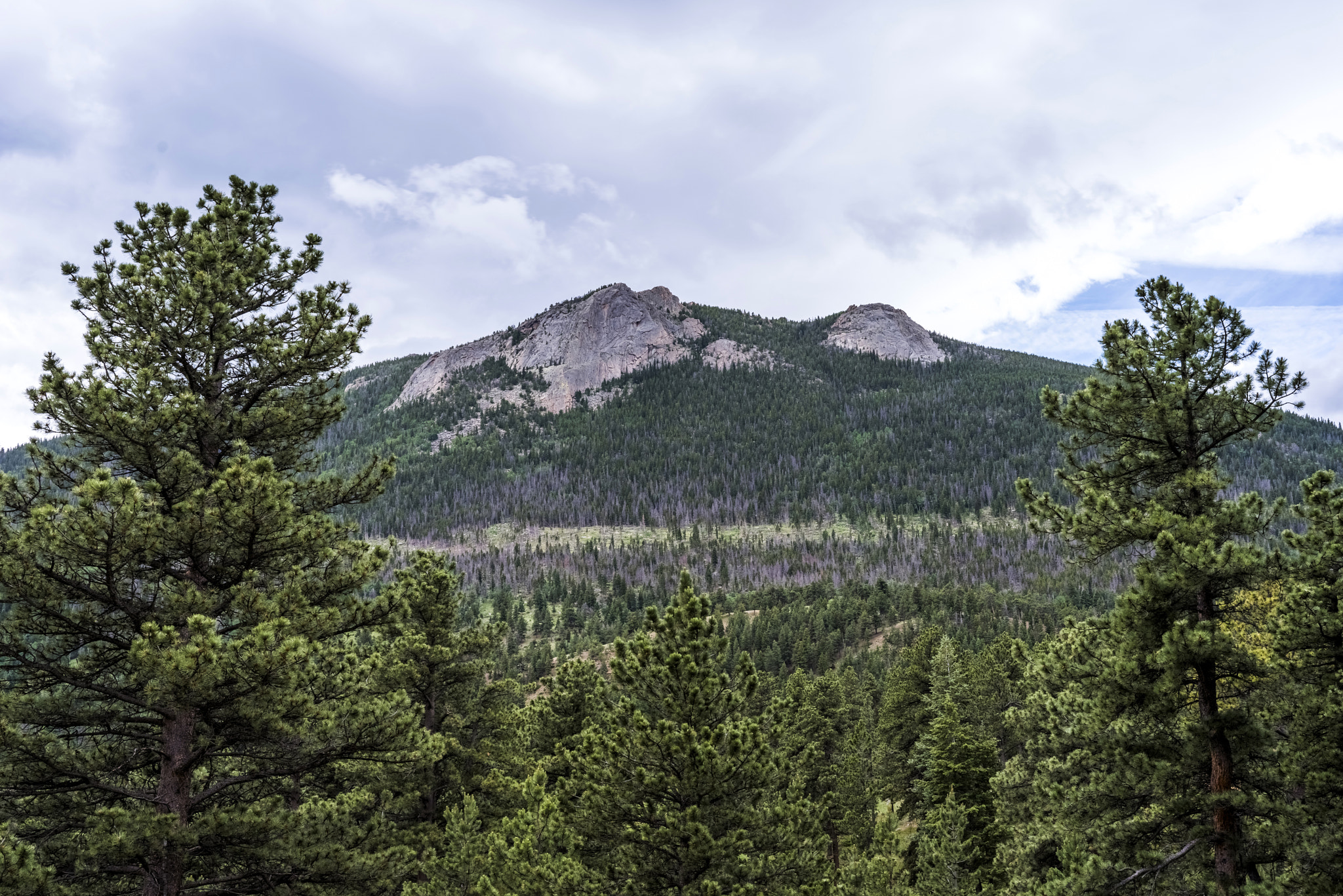 Pentax K-1 sample photo. Estes park photography