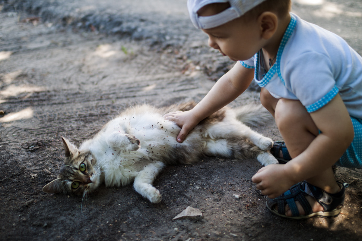 Sigma 30mm f/1.4 DC HSM sample photo. Touch photography