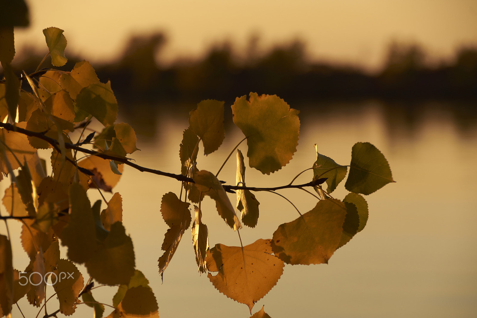 Sony SLT-A65 (SLT-A65V) + DT 18-270mm F3.5-6.3 SSM sample photo. St laurent, le fleuve photography