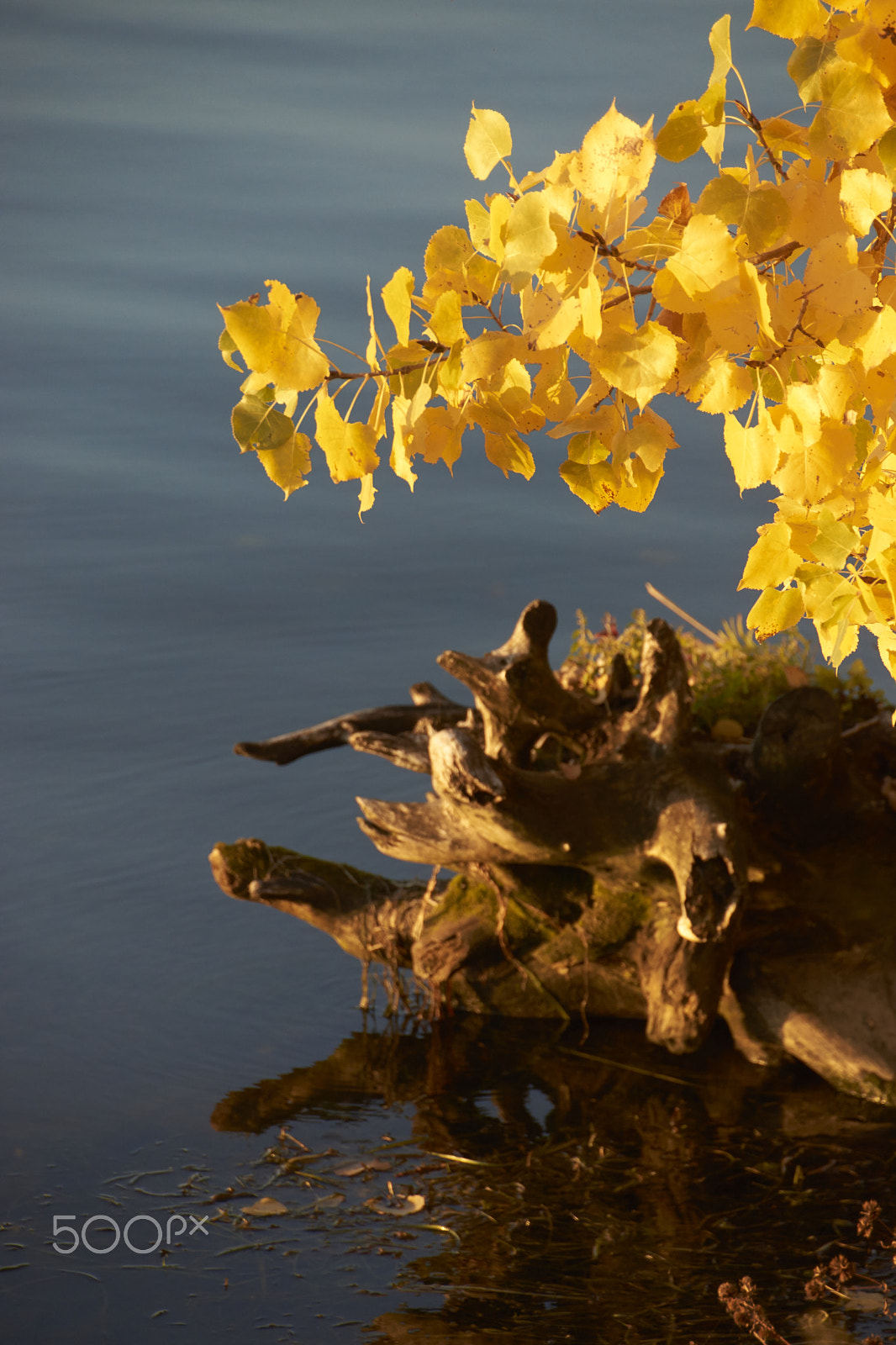 Sony SLT-A65 (SLT-A65V) + DT 18-270mm F3.5-6.3 SSM sample photo. St lawrence river photography