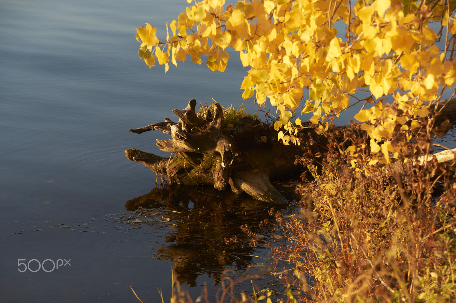 Sony SLT-A65 (SLT-A65V) + DT 18-270mm F3.5-6.3 SSM sample photo. St laurent le soir photography