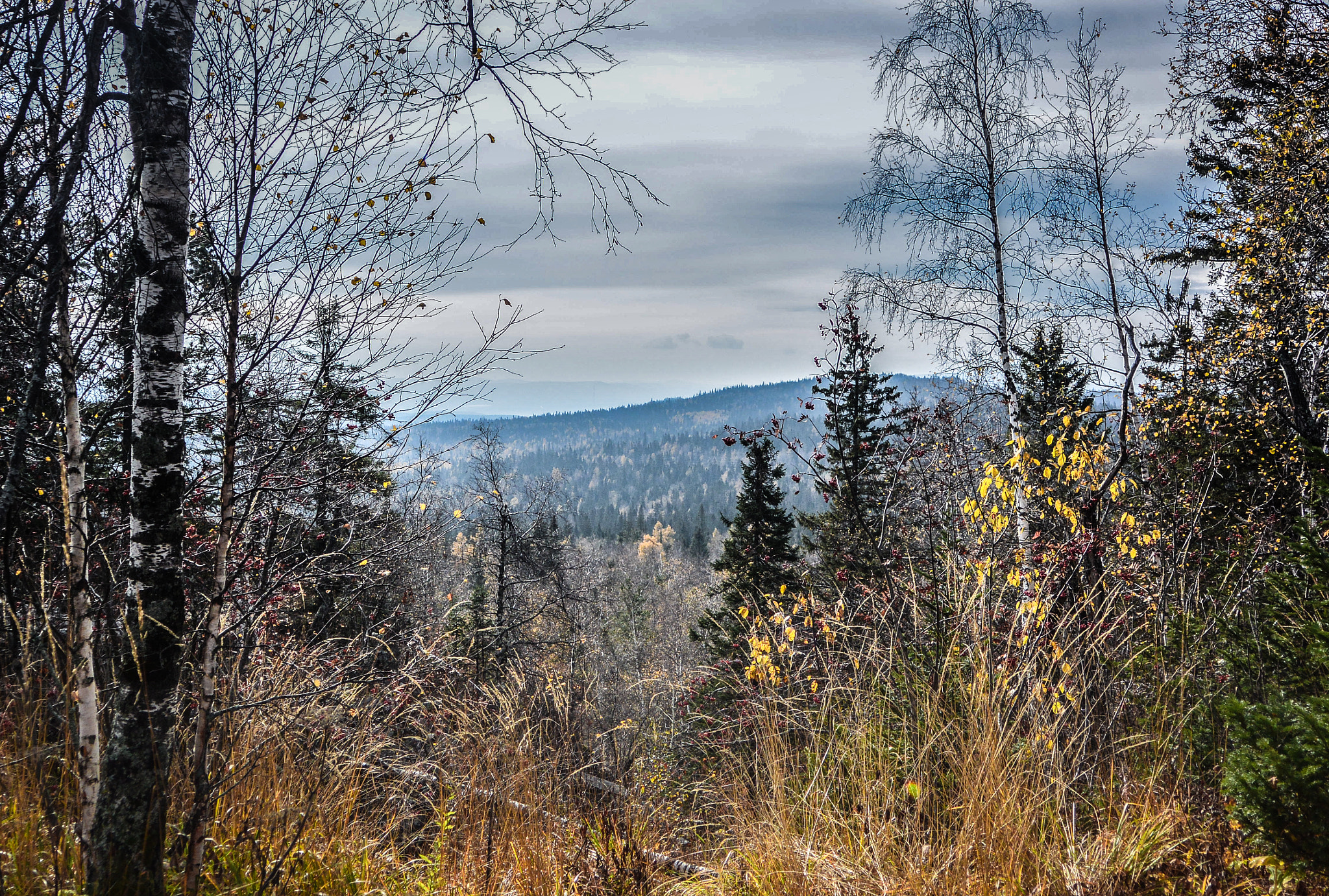 Nikon 1 Nikkor VR 10-30mm F3.5-5.6 sample photo. Taganai national park, russia photography