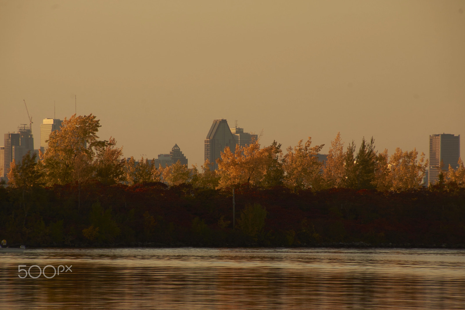 Sony SLT-A65 (SLT-A65V) sample photo. Centre ville de montréal en automne photography