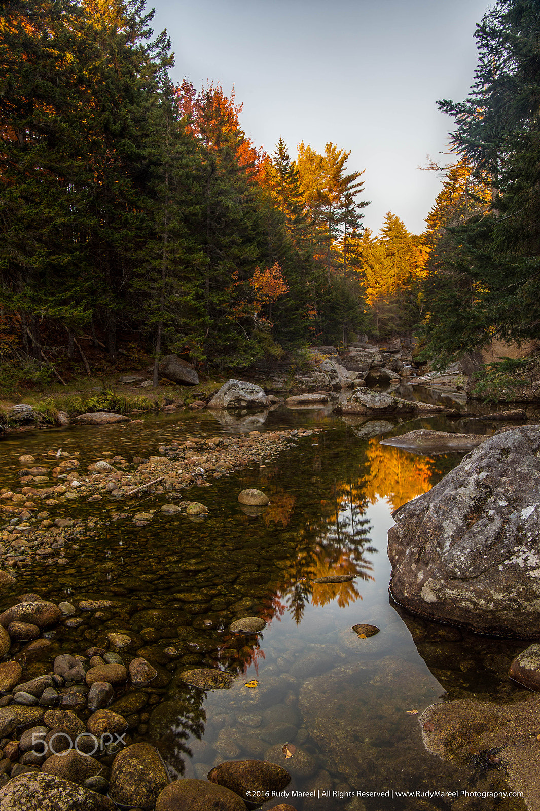 Nikon AF-S Nikkor 24-70mm F2.8E ED VR sample photo. Indian summer photography