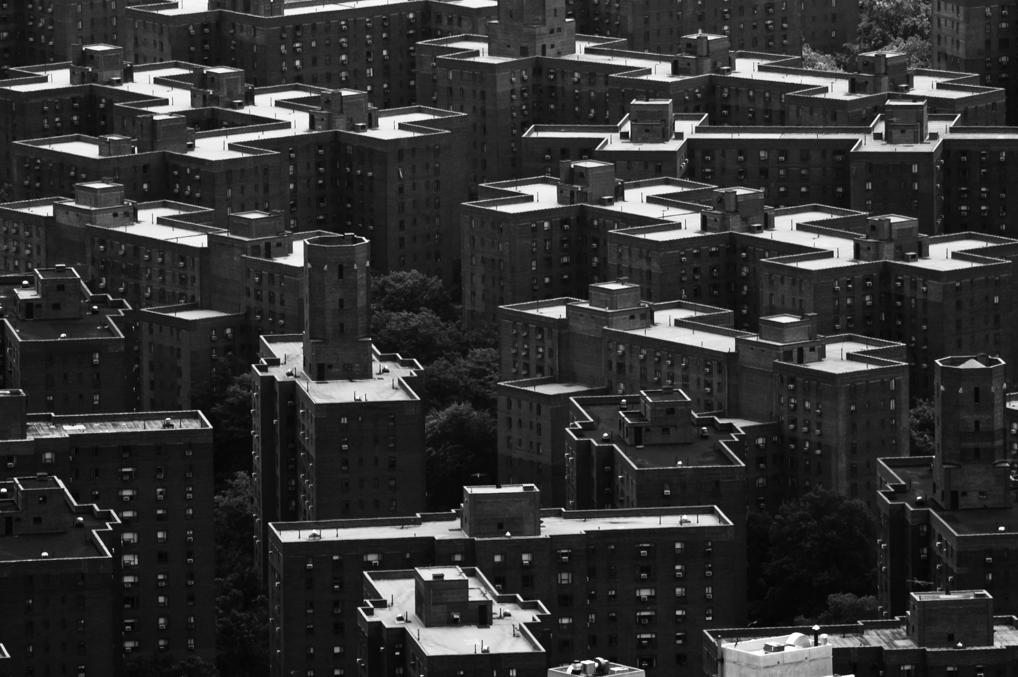 Nikon D70s sample photo. A puzzle to solve photography