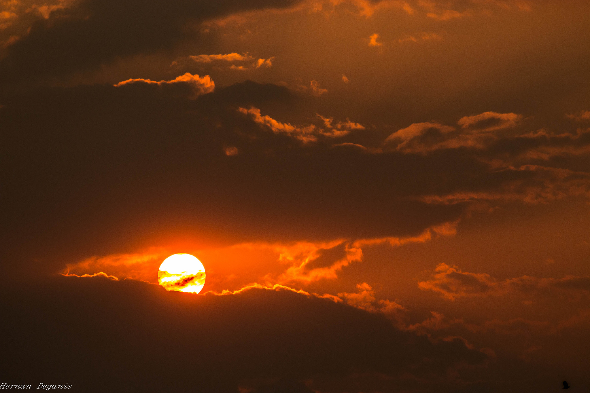 Canon EF 80-200mm F4.5-5.6 II sample photo