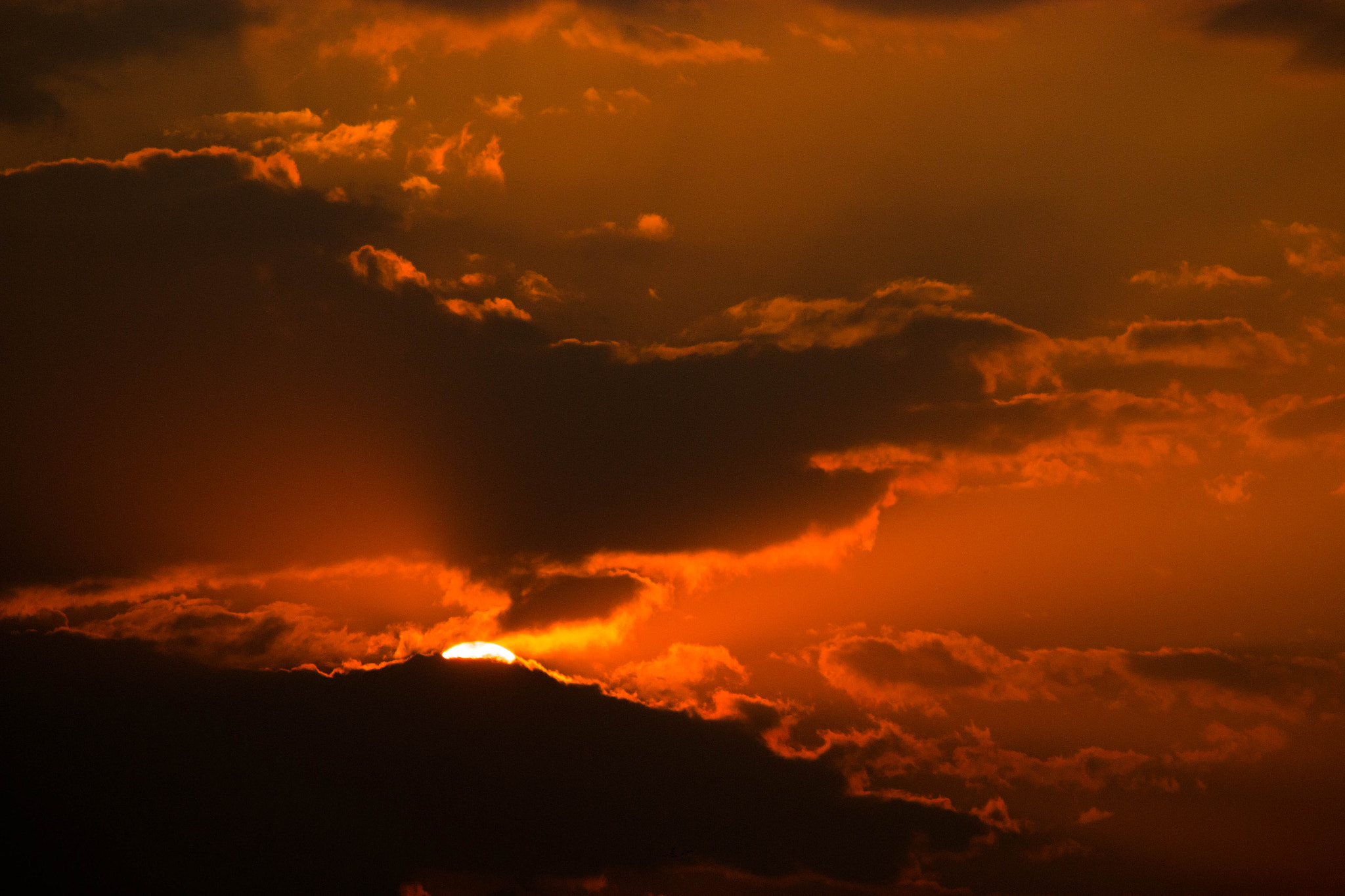 Canon EF 80-200mm F4.5-5.6 II sample photo