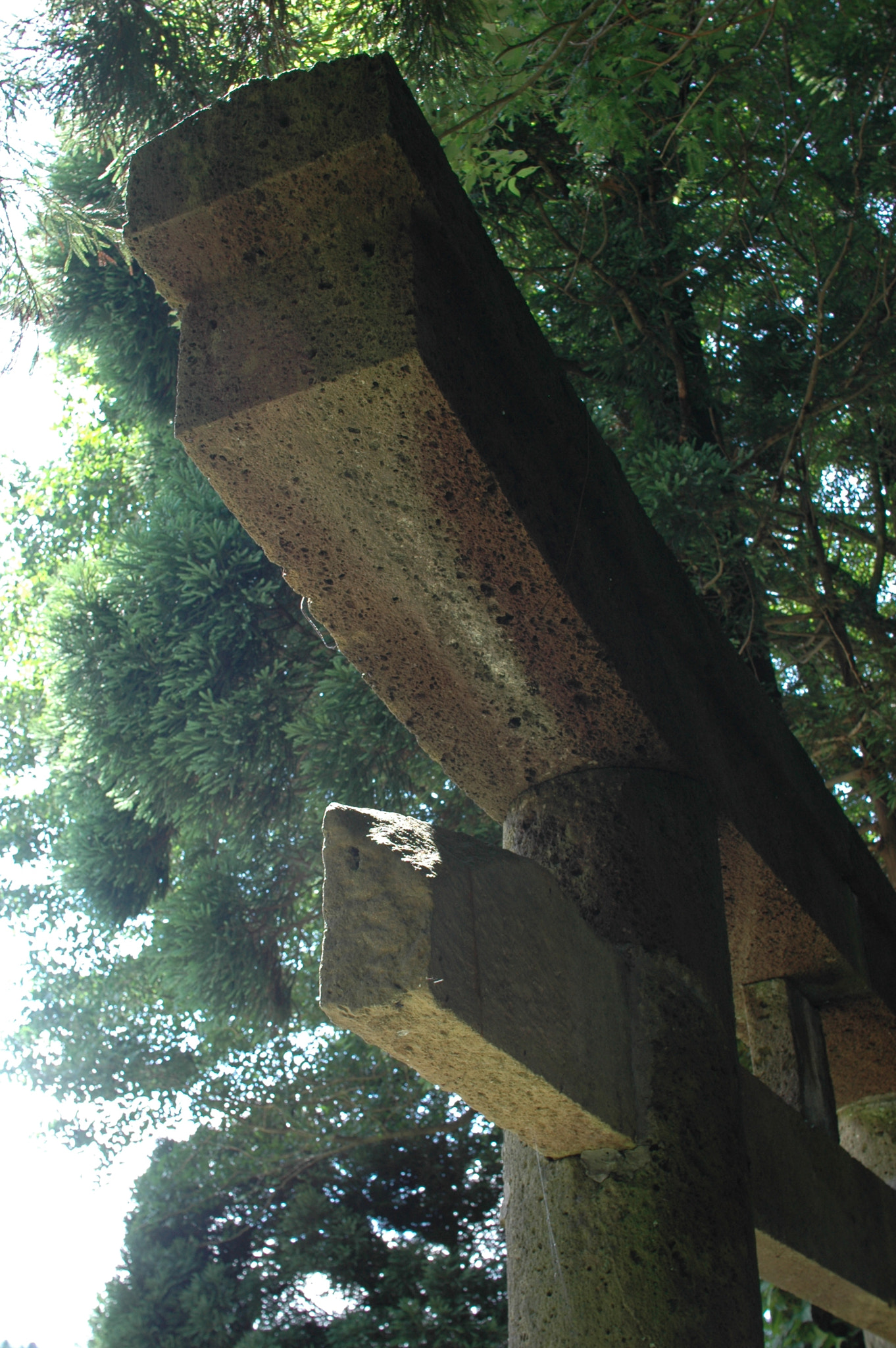 Nikon D70 sample photo. Torii--along the mogami river photography