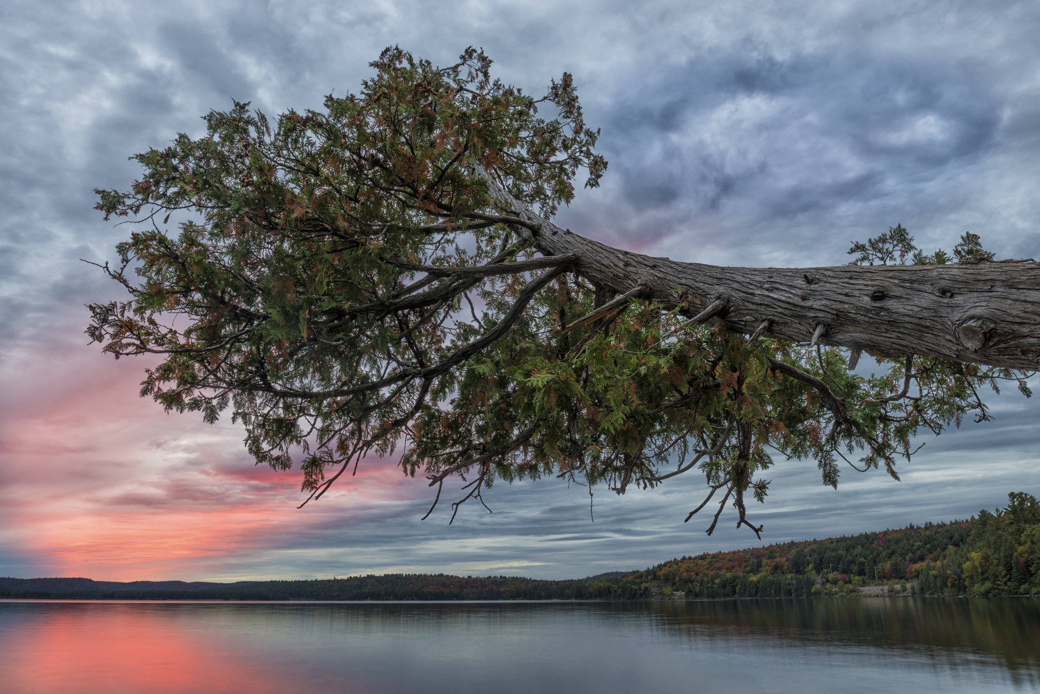 Nikon D800 + Nikon PC-E Nikkor 24mm F3.5D ED Tilt-Shift sample photo. An algonquin park sunset... photography