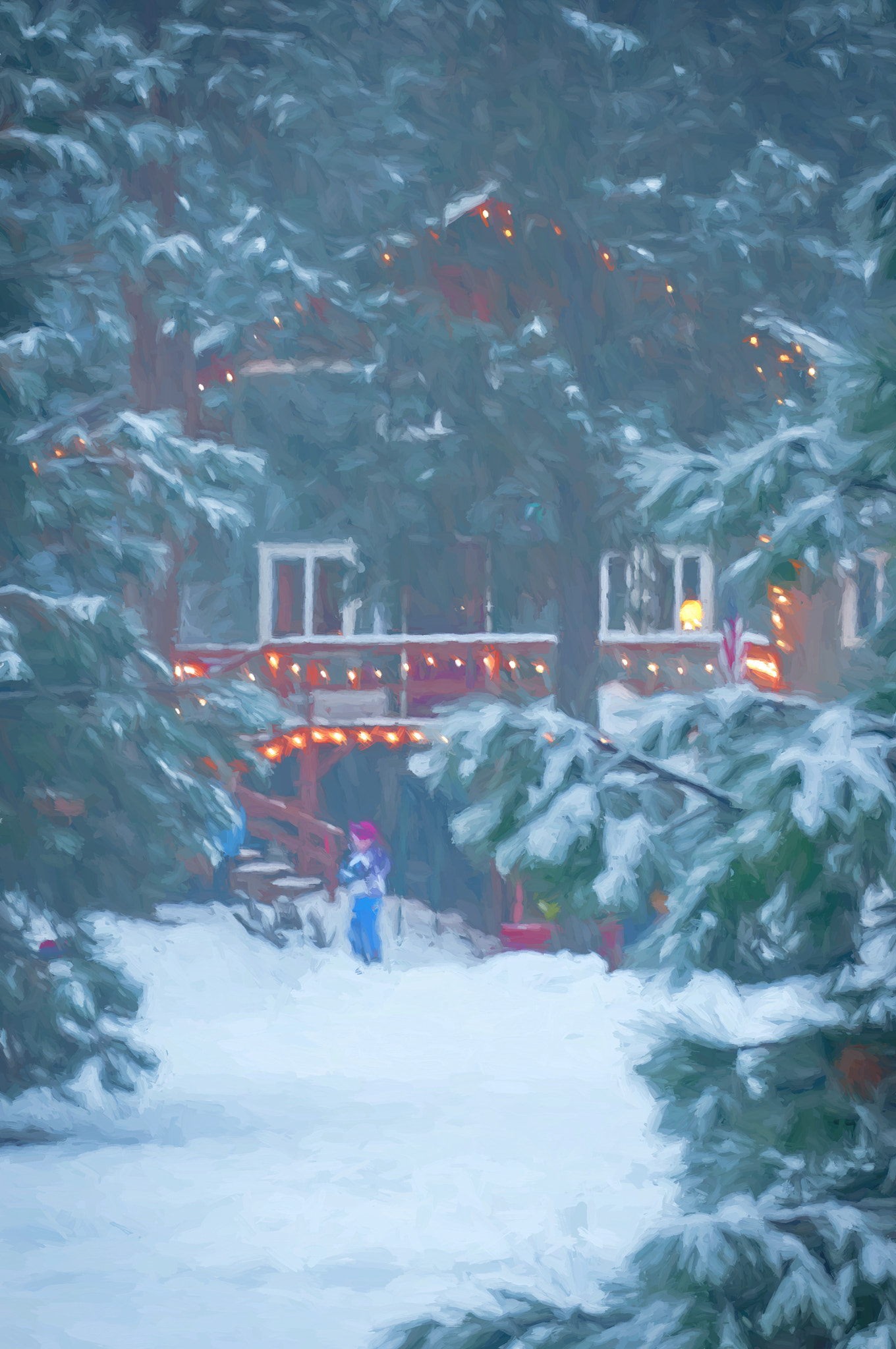 Nikon D300S + Sigma 18-200mm F3.5-6.3 DC OS HSM sample photo. Snowy day photography