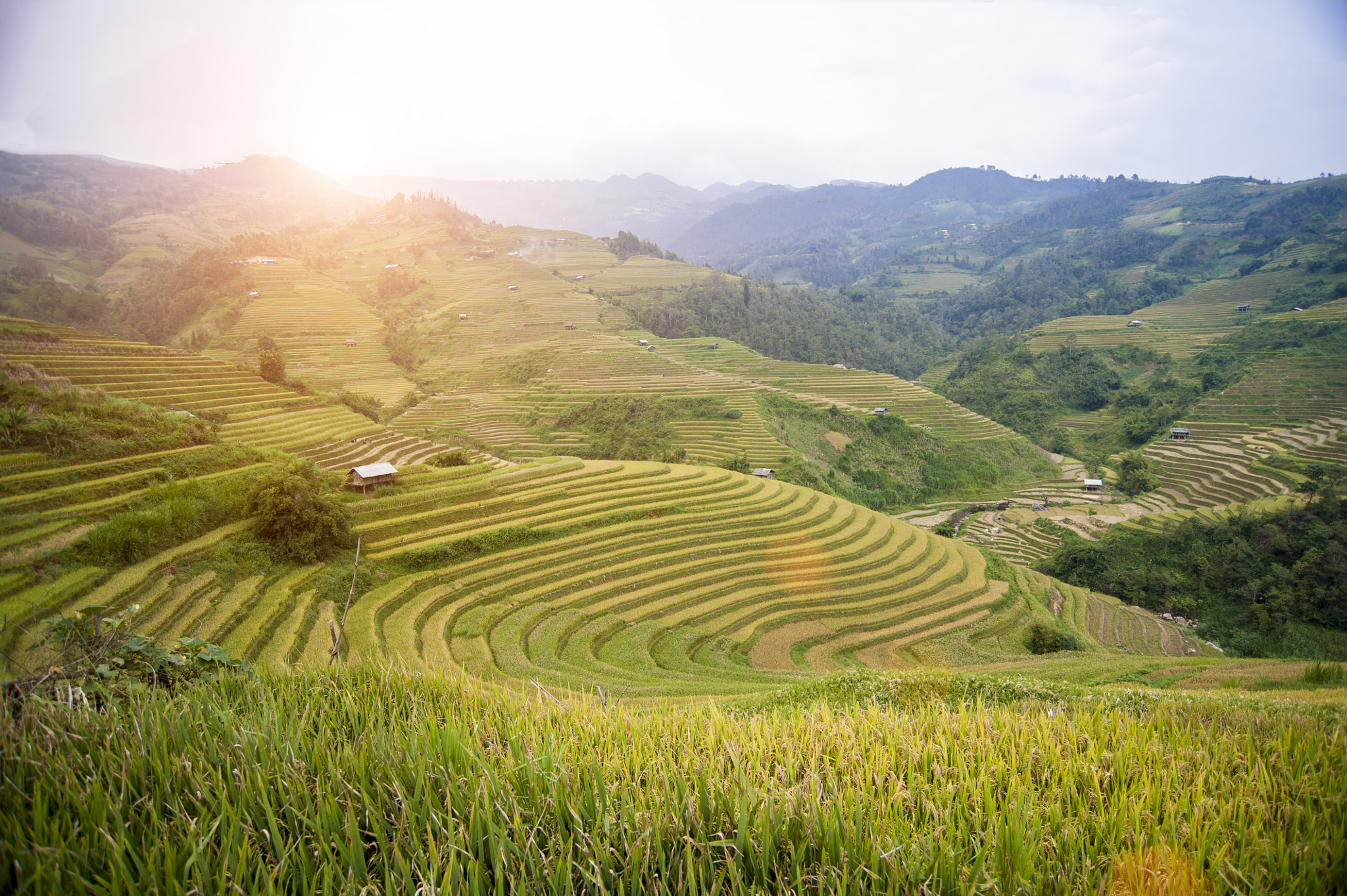 Nikon D700 + Nikon AF Nikkor 18-35mm F3.5-4.5D IF ED sample photo. Mu cang chai field, in middle autumn 2016 photography