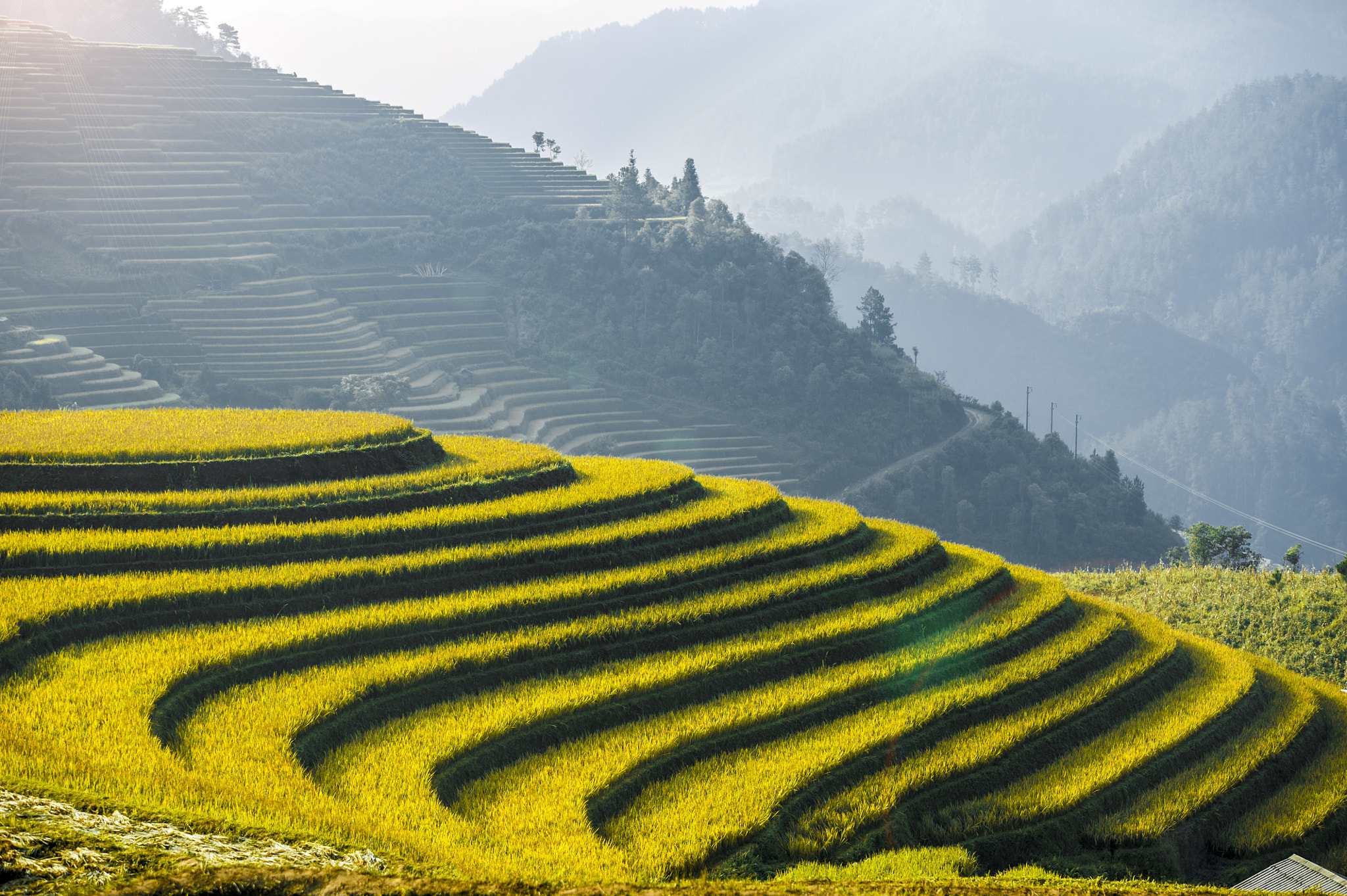 Nikon D700 + Sigma 70-200mm F2.8 EX DG OS HSM sample photo. Mu cang chai field, in middle autumn 2016 photography